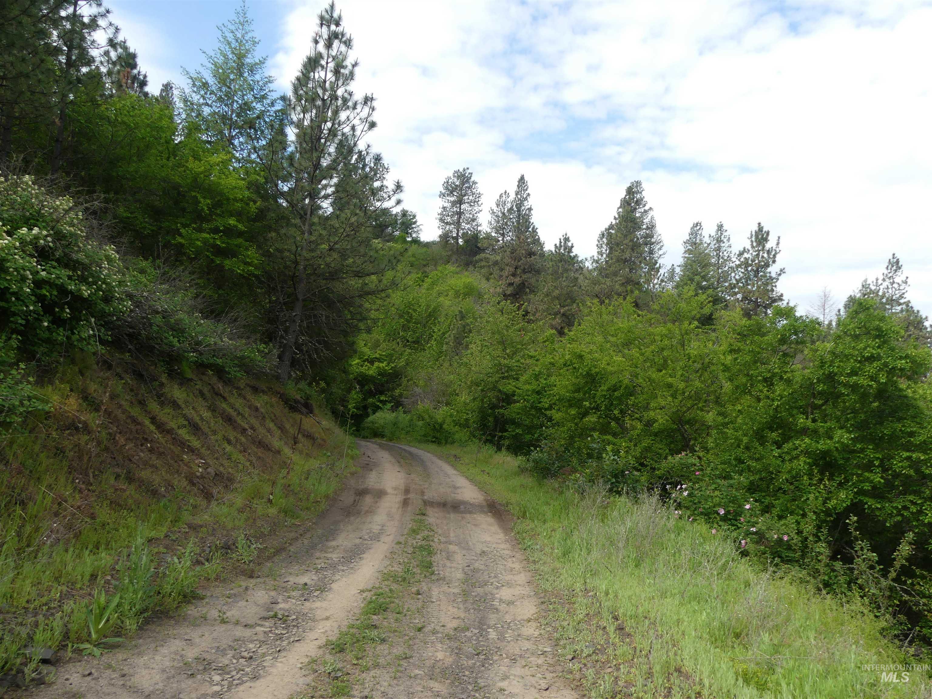 30100 Triumph Property Photo 25