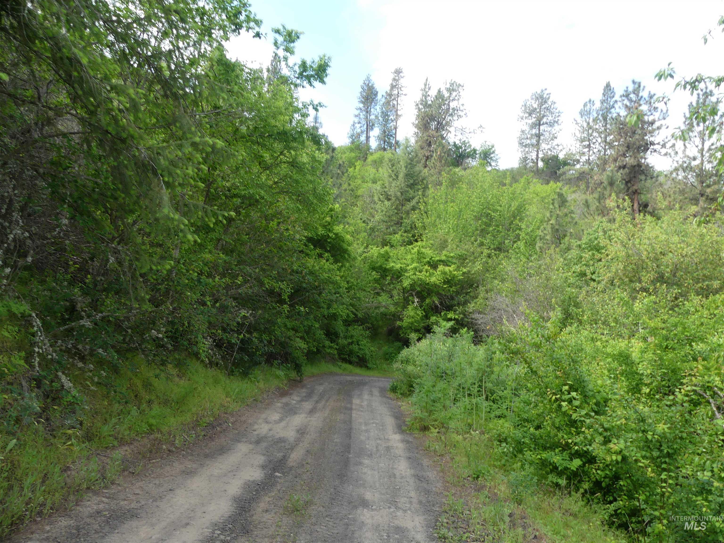 30100 Triumph Property Photo 26