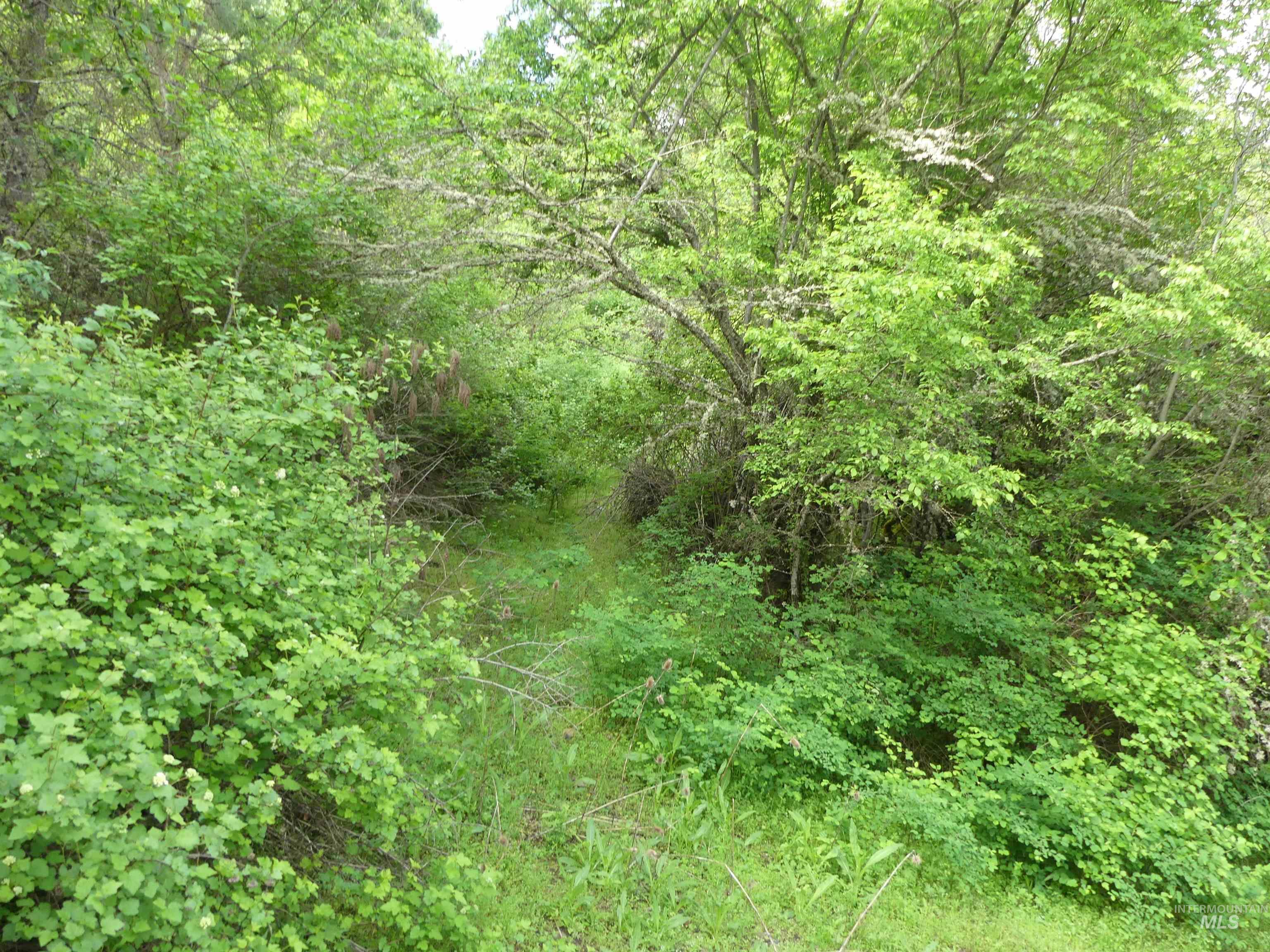 30100 Triumph Property Photo 27