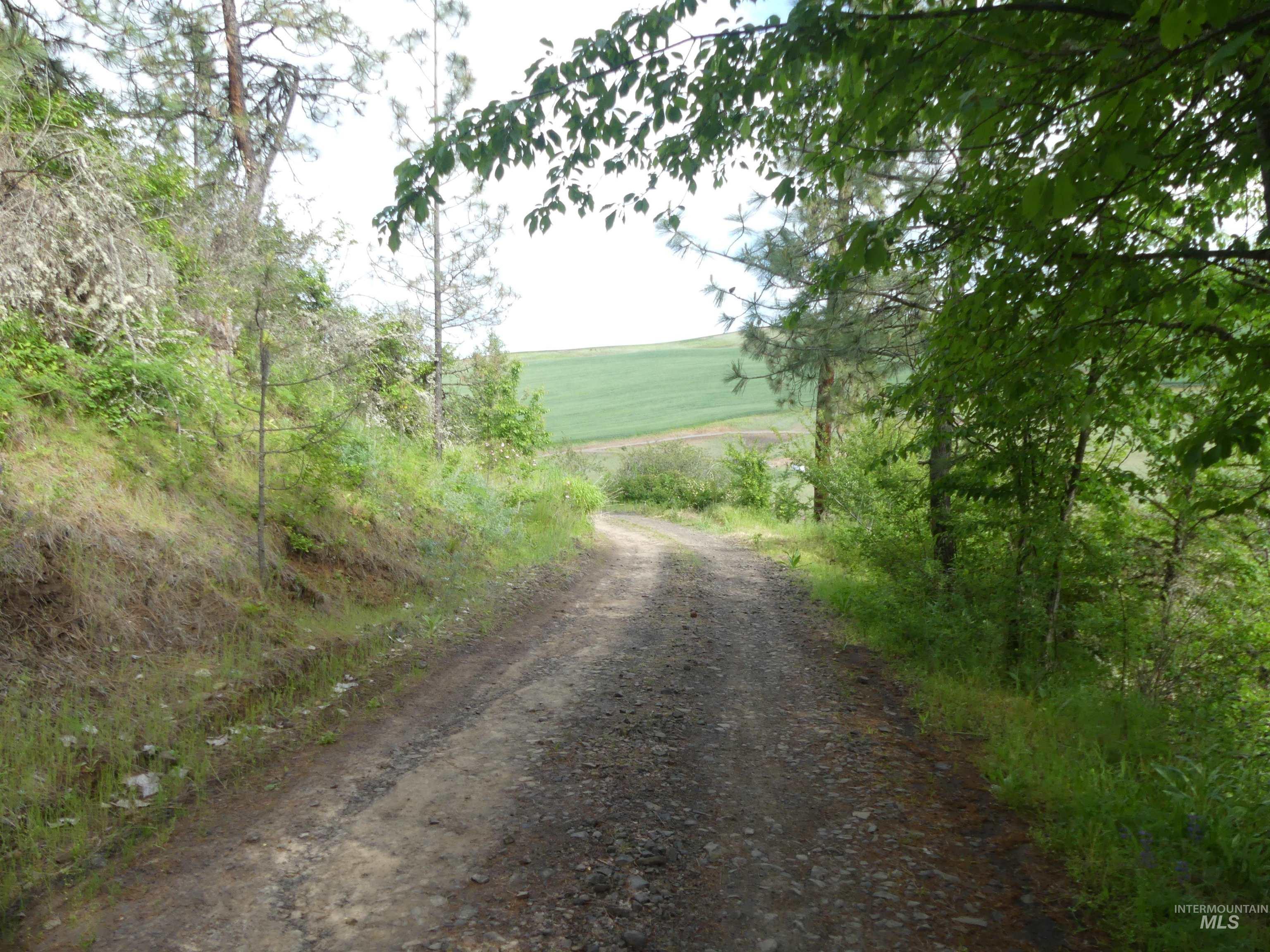 30100 Triumph Property Photo 32