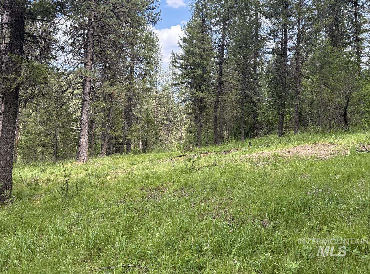 Lot 5, Block 1 Bell Ln Property Photo 4