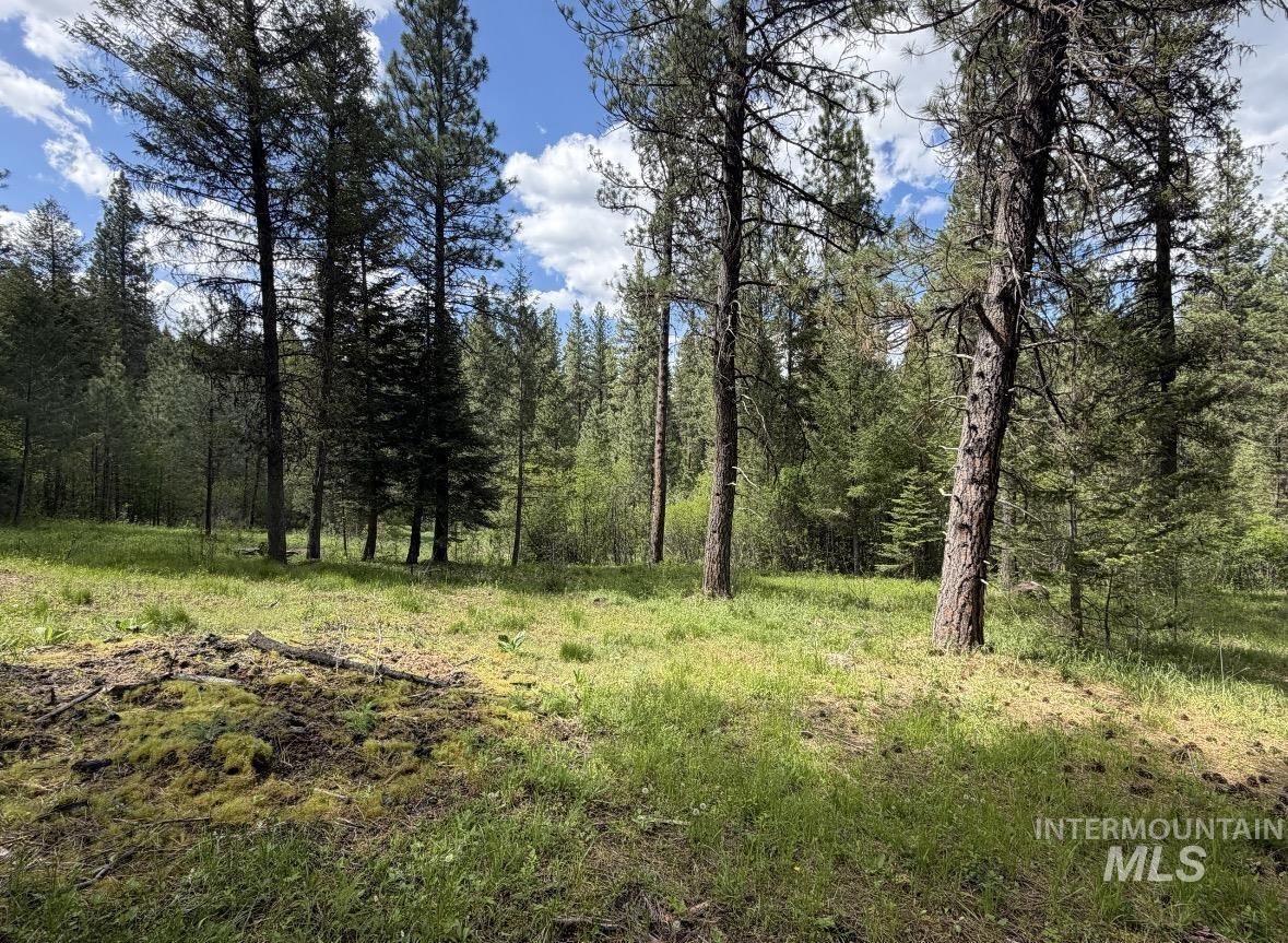 Lot 5, Block 1 Bell Ln Property Photo 6