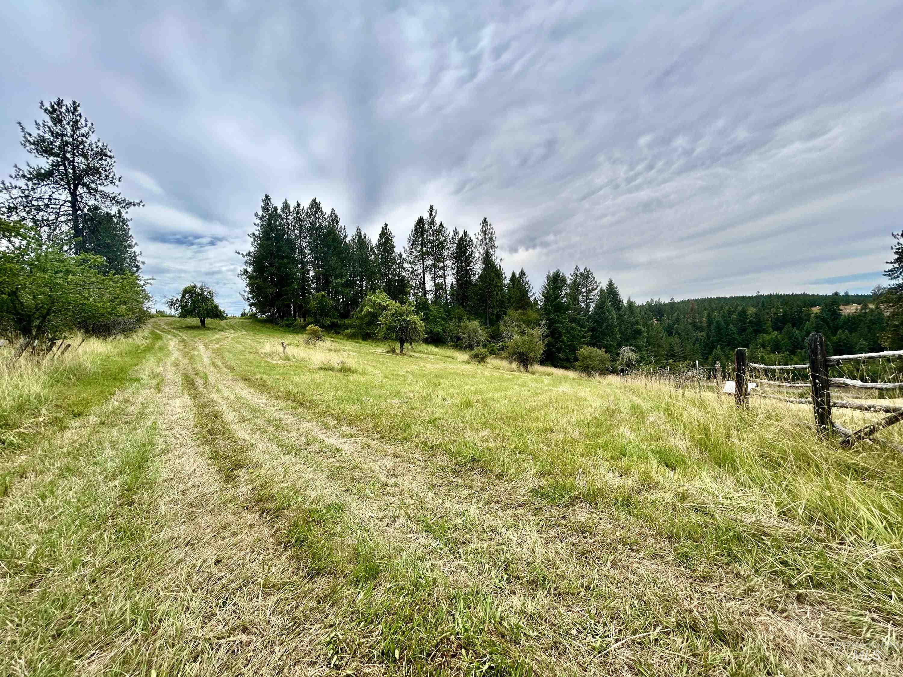 637 Leitch Creek Rd Property Photo 33