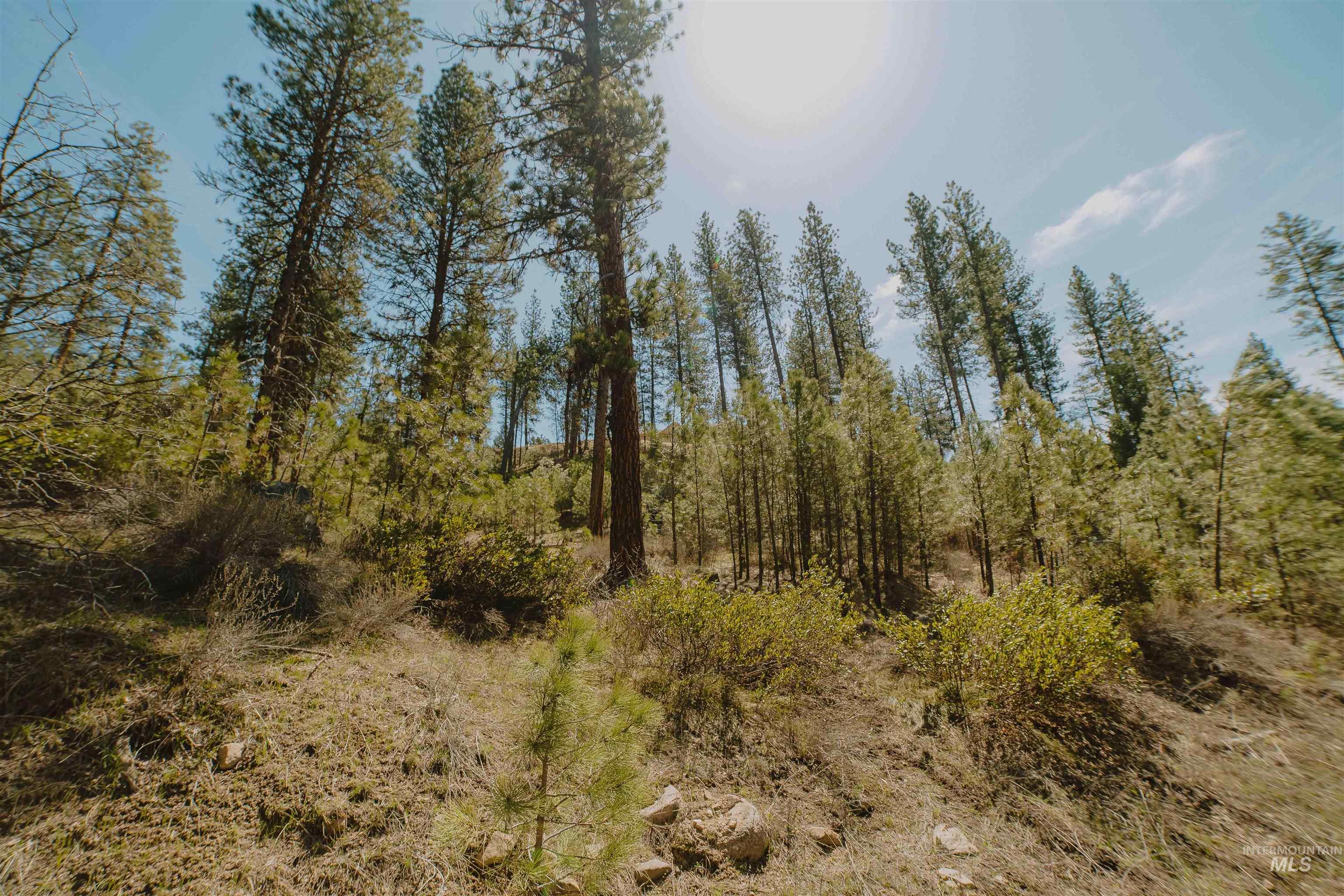Lot 13 Property Photo 2