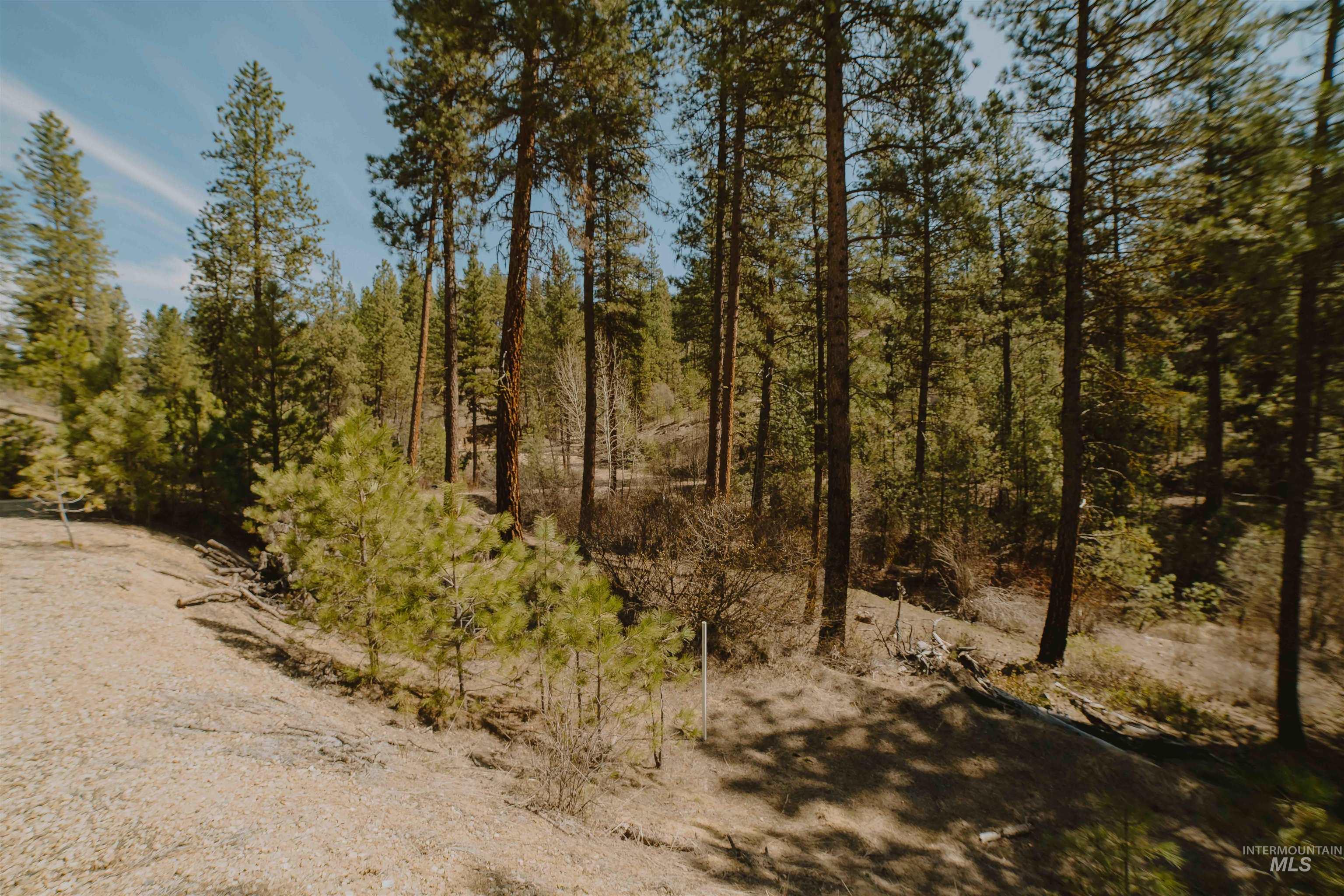 Lot 13 Property Photo 4