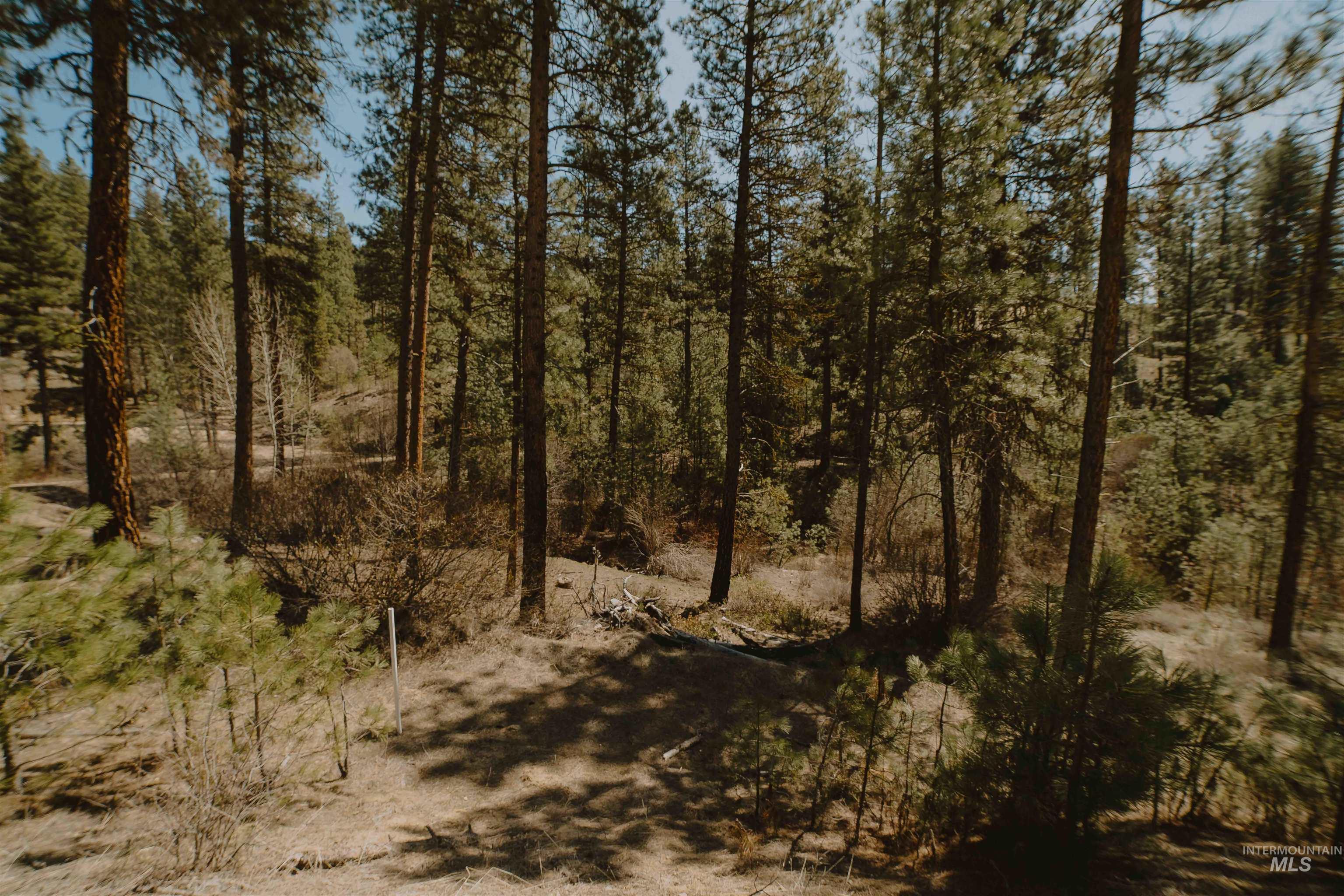 Lot 13 Property Photo 5