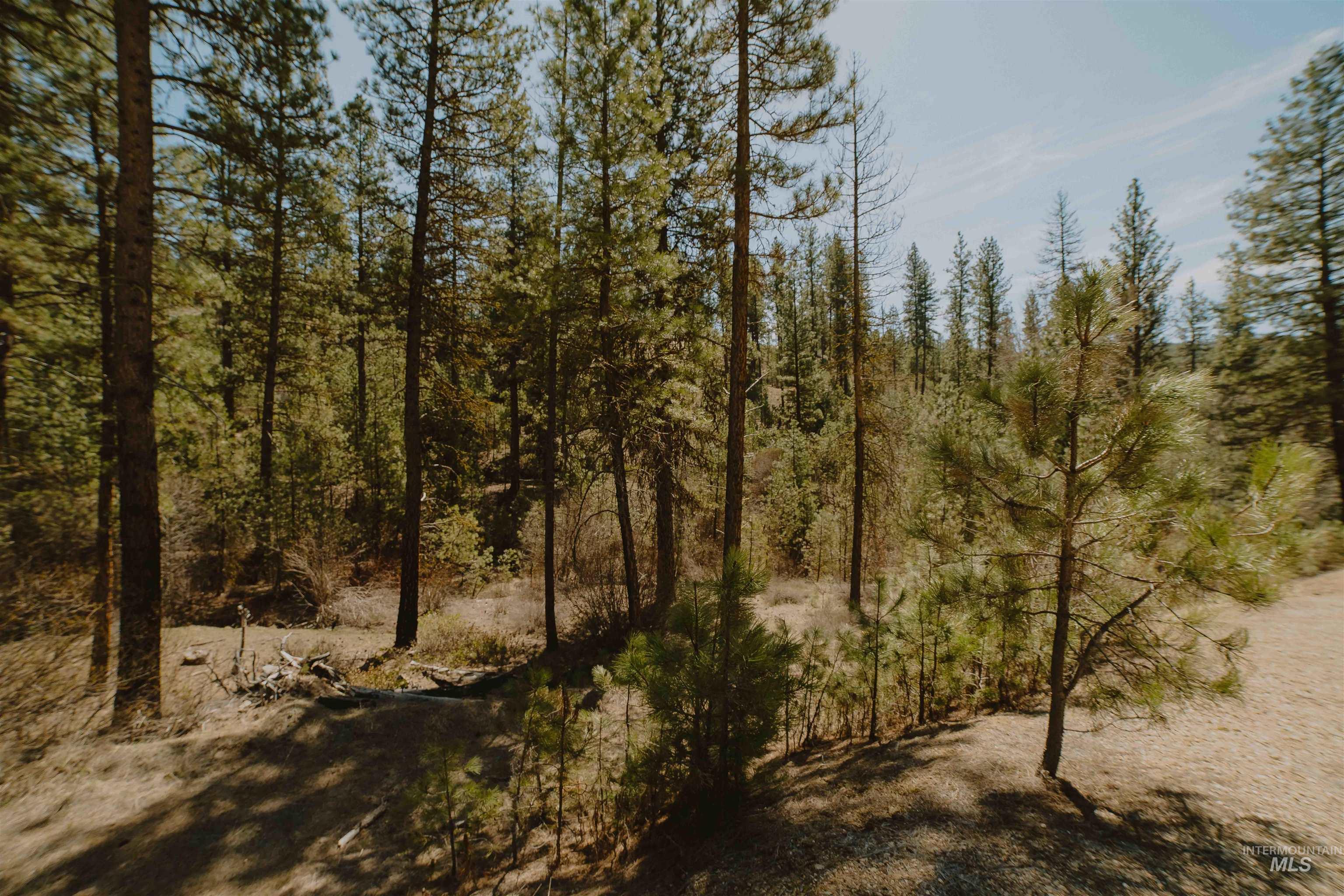Lot 13 Property Photo 6