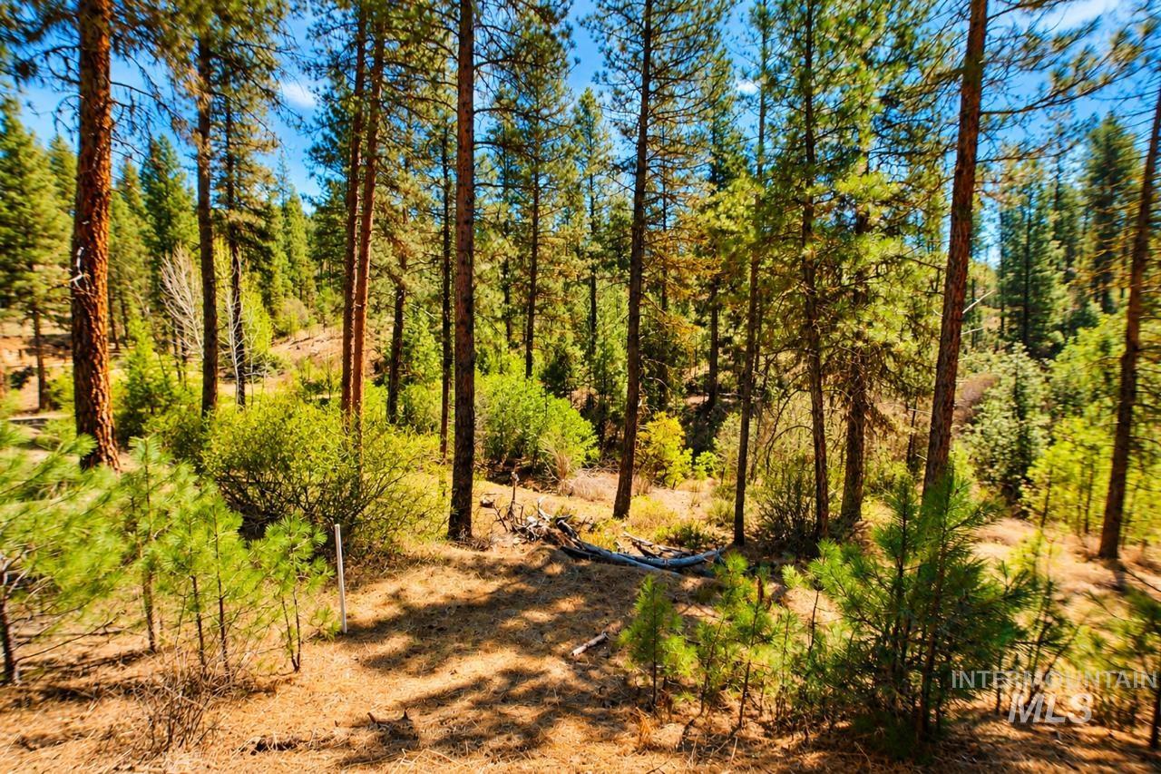 Lot 13 Property Photo 6