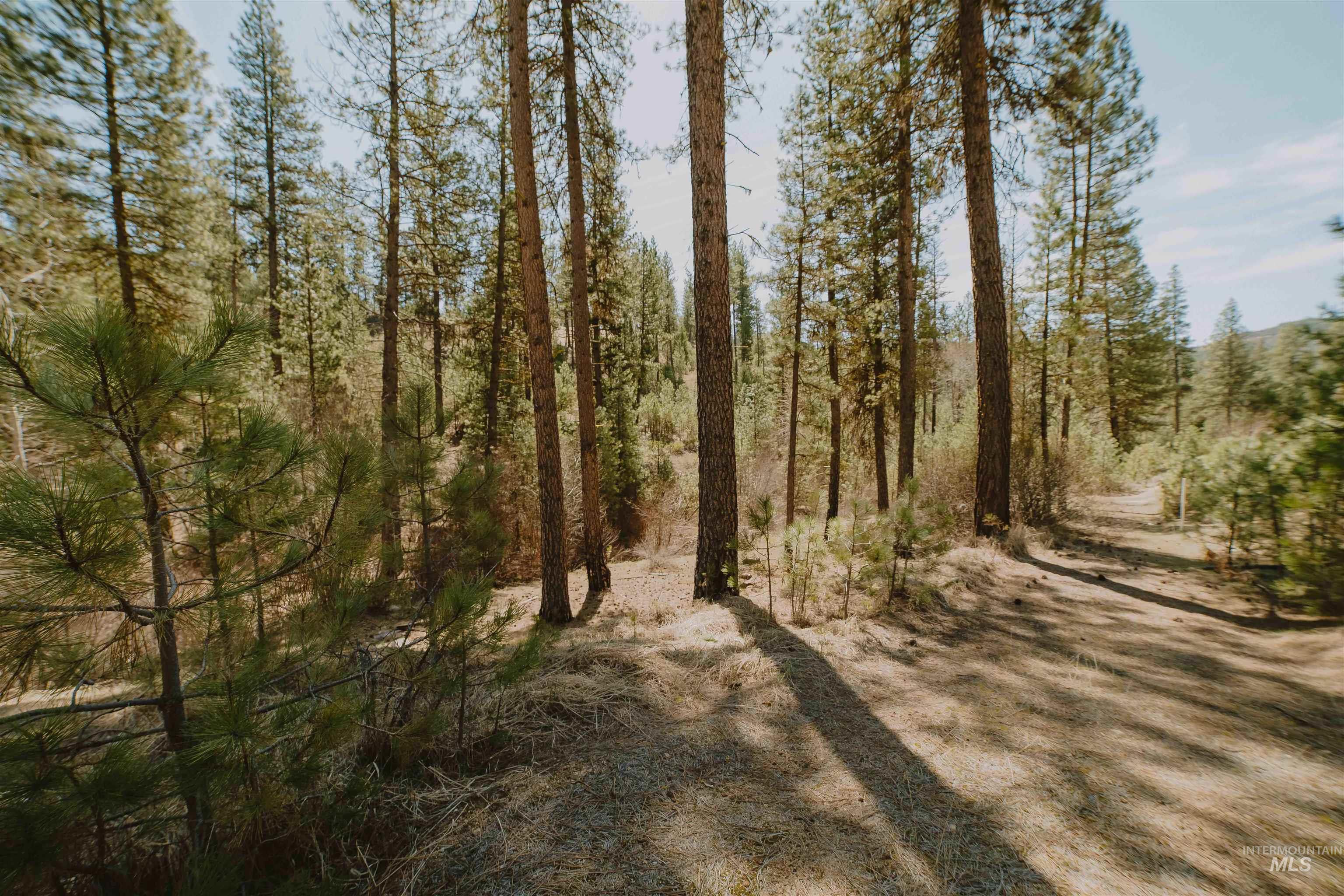 Lot 13 Property Photo 7