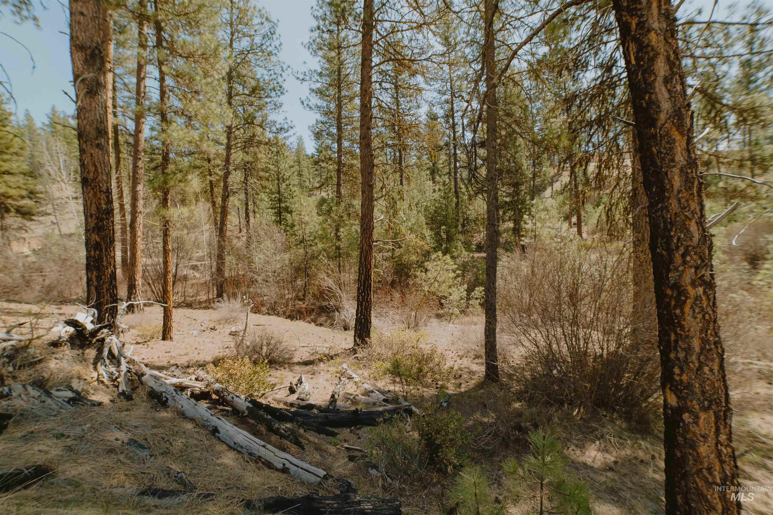 Lot 13 Property Photo 8