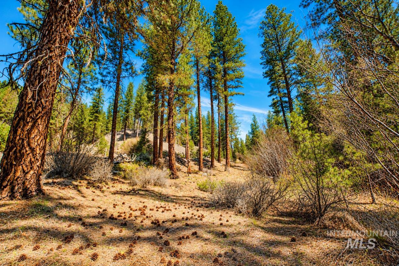 Lot 13 Property Photo 8
