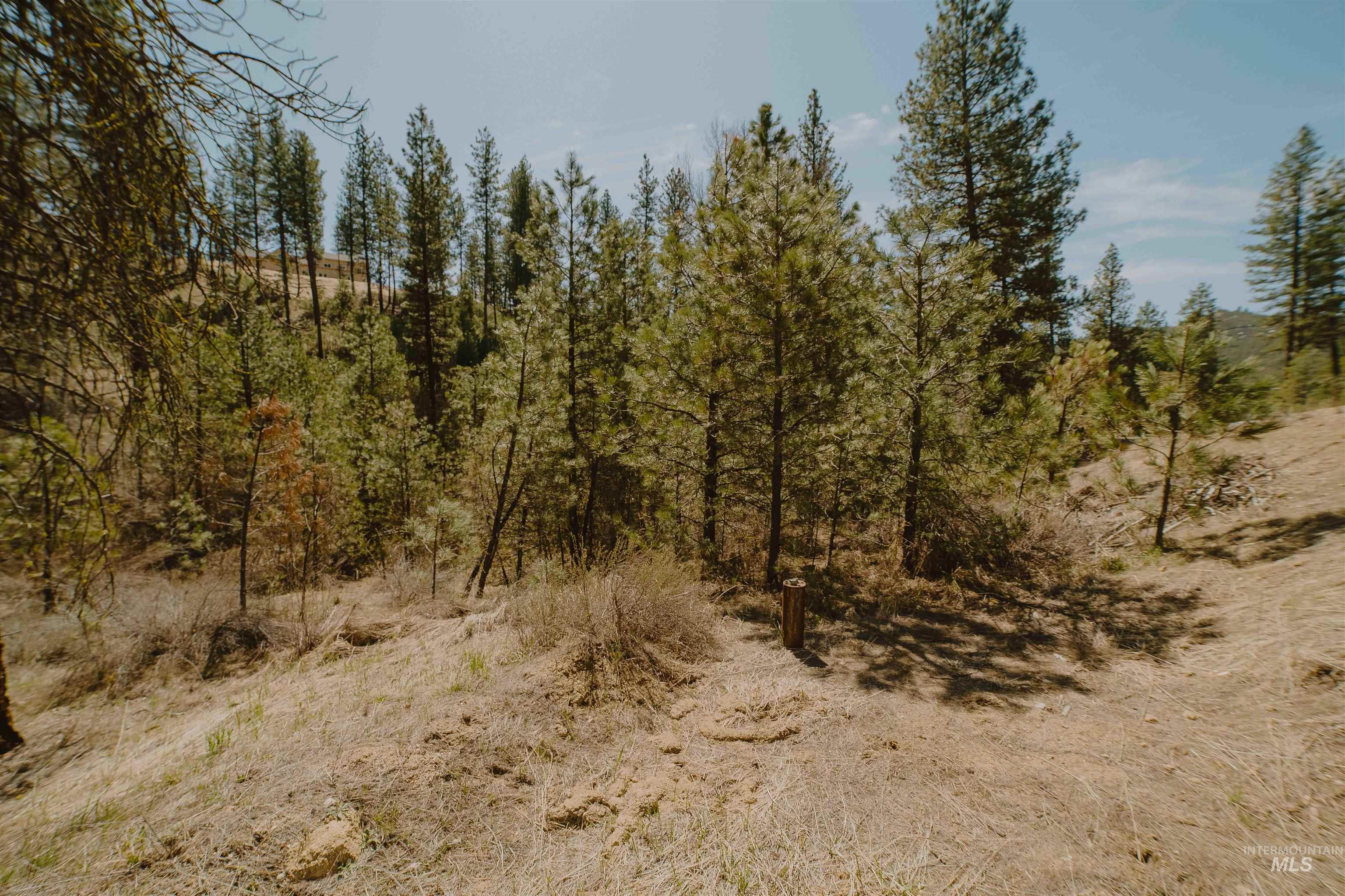 Lot 13 Property Photo 9