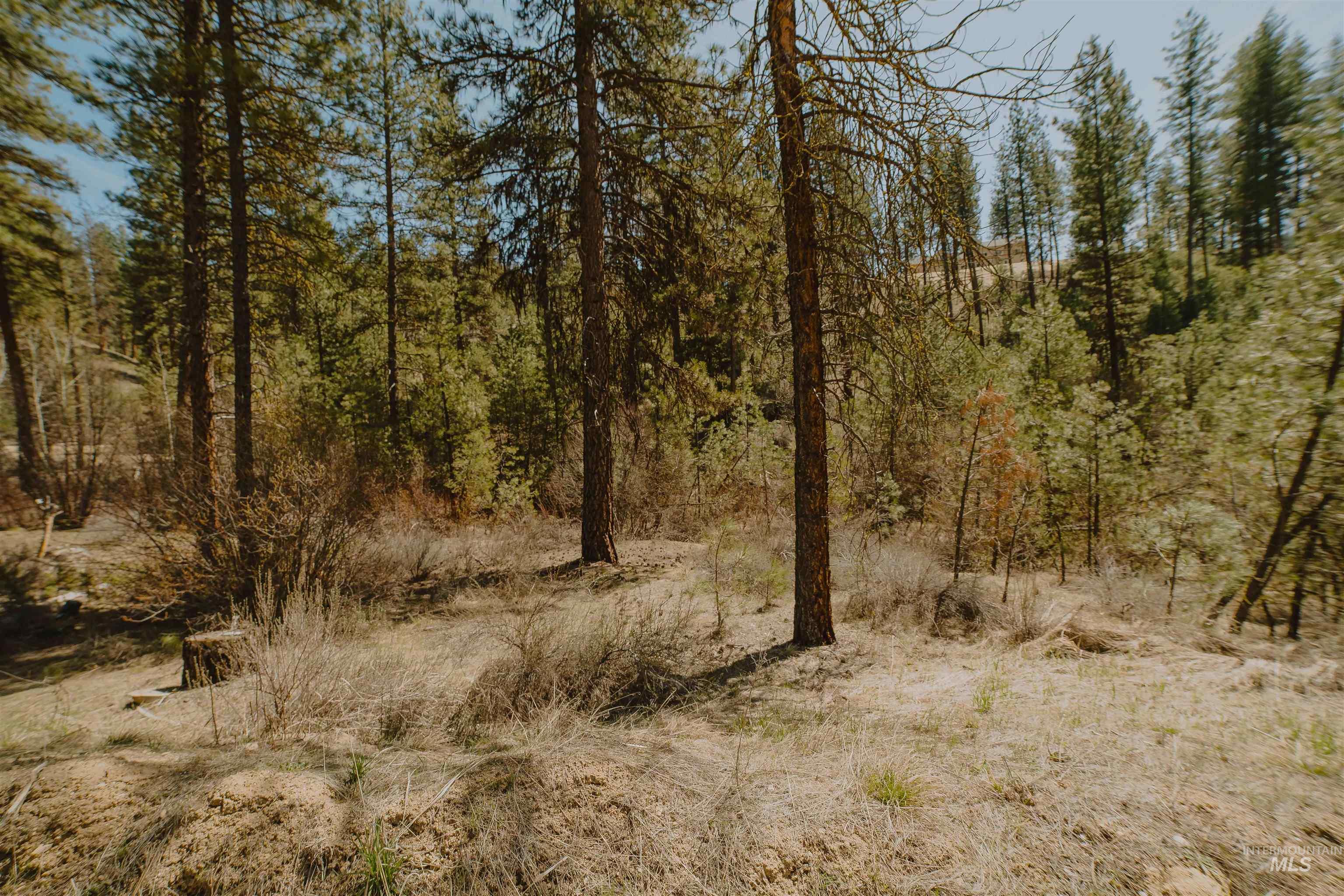 Lot 13 Property Photo 10