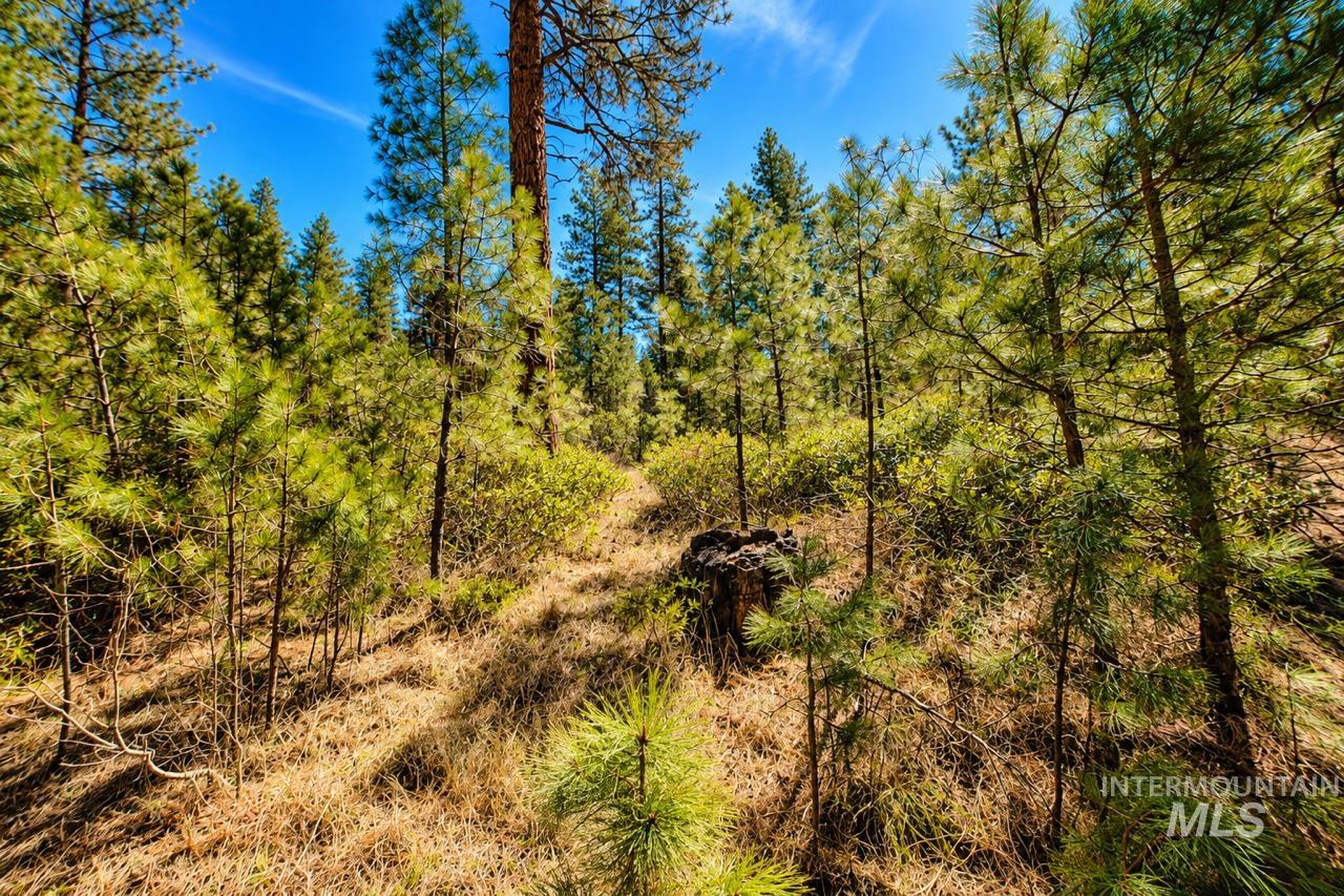 Lot 13 Property Photo 11