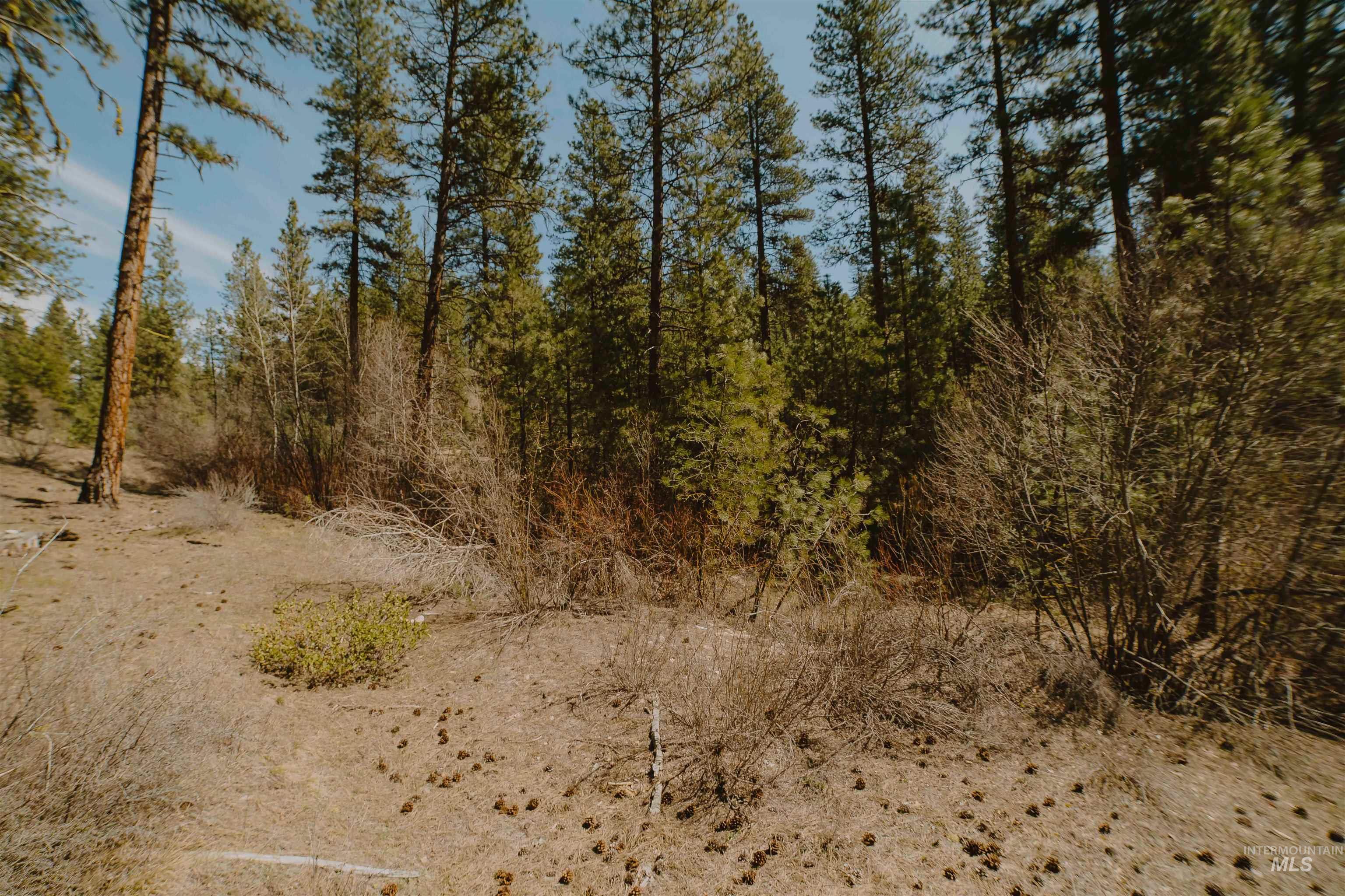 Lot 13 Property Photo 12
