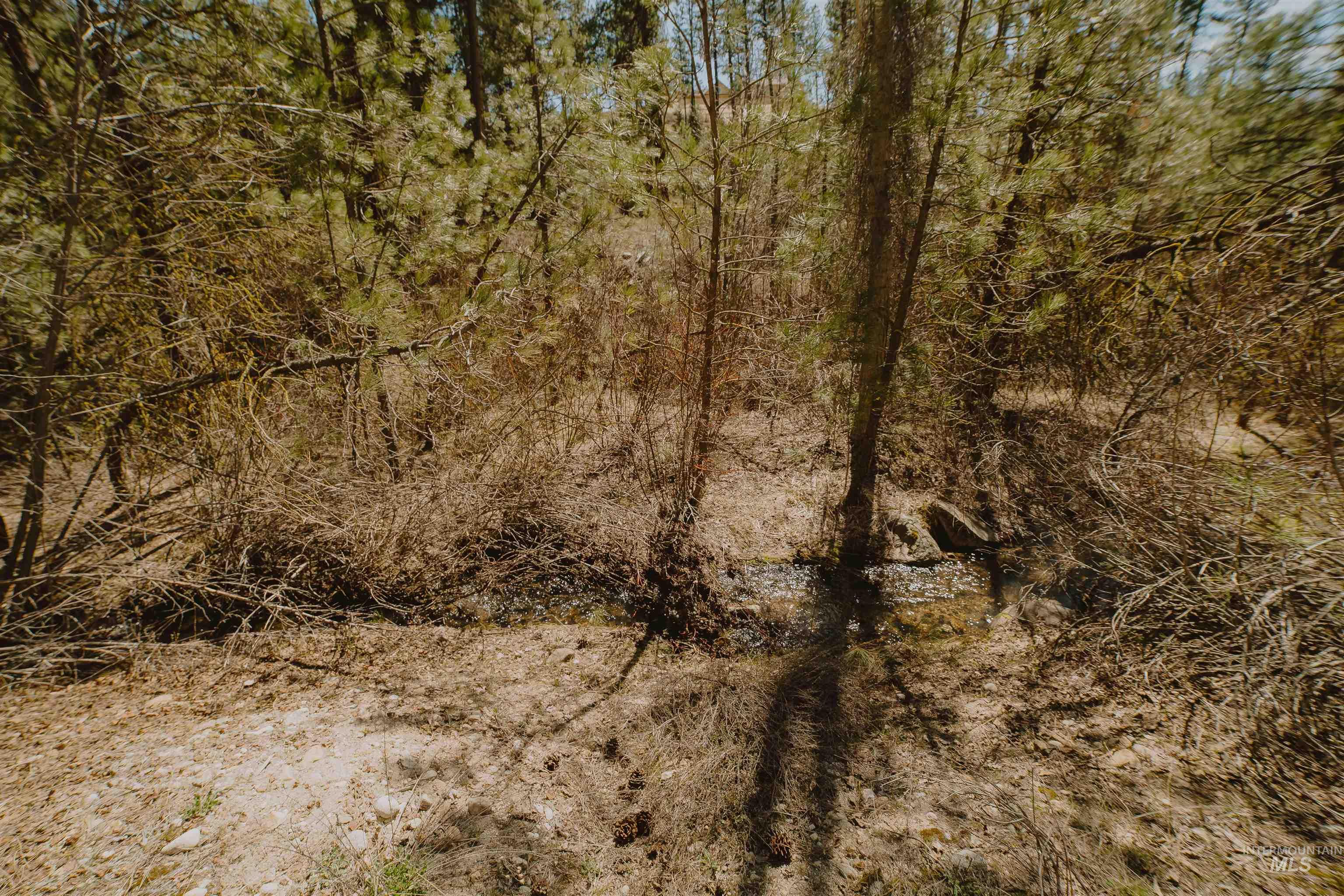 Lot 13 Property Photo 13
