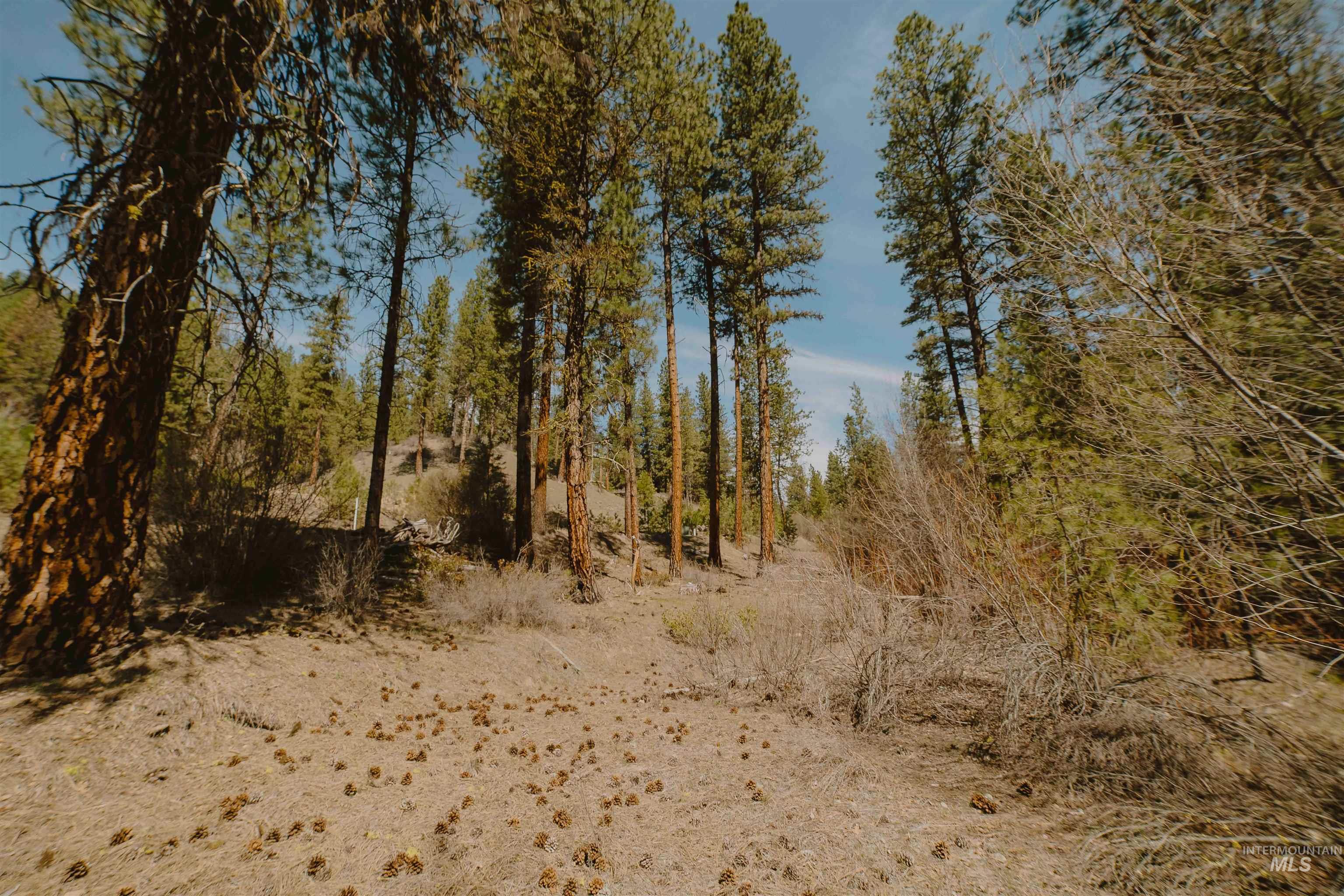 Lot 13 Property Photo 14
