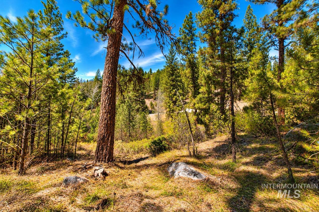 Lot 13 Property Photo 15