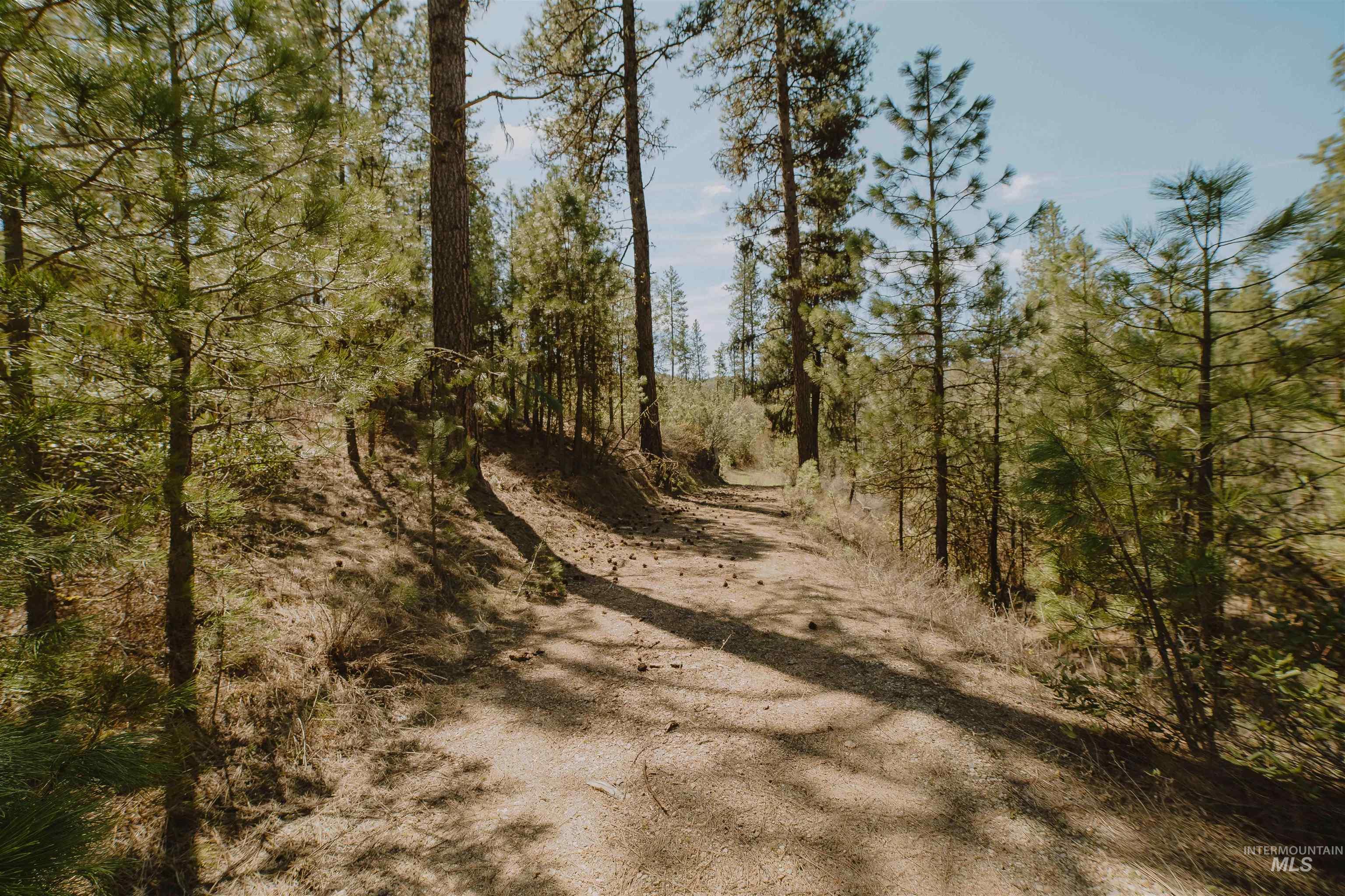 Lot 13 Property Photo 16