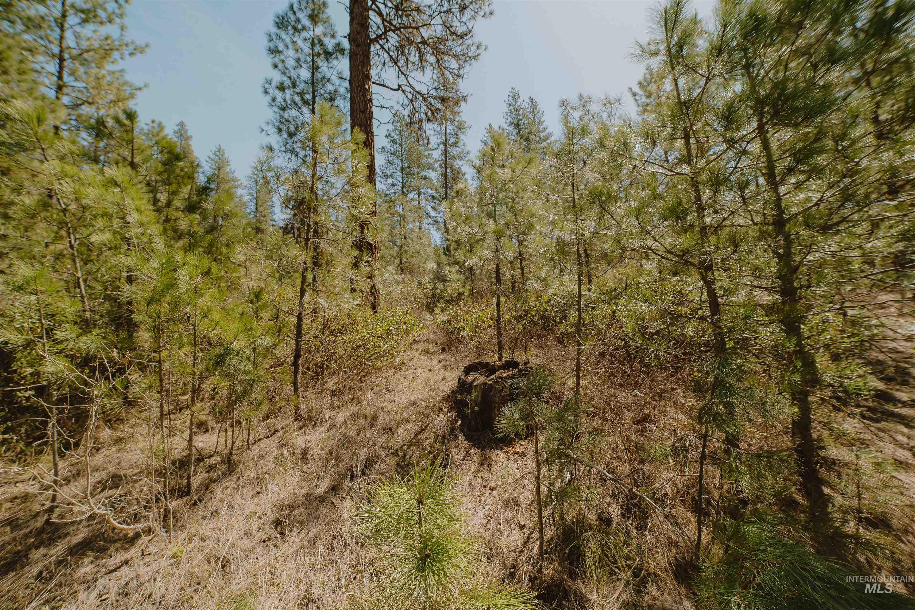 Lot 13 Property Photo 17
