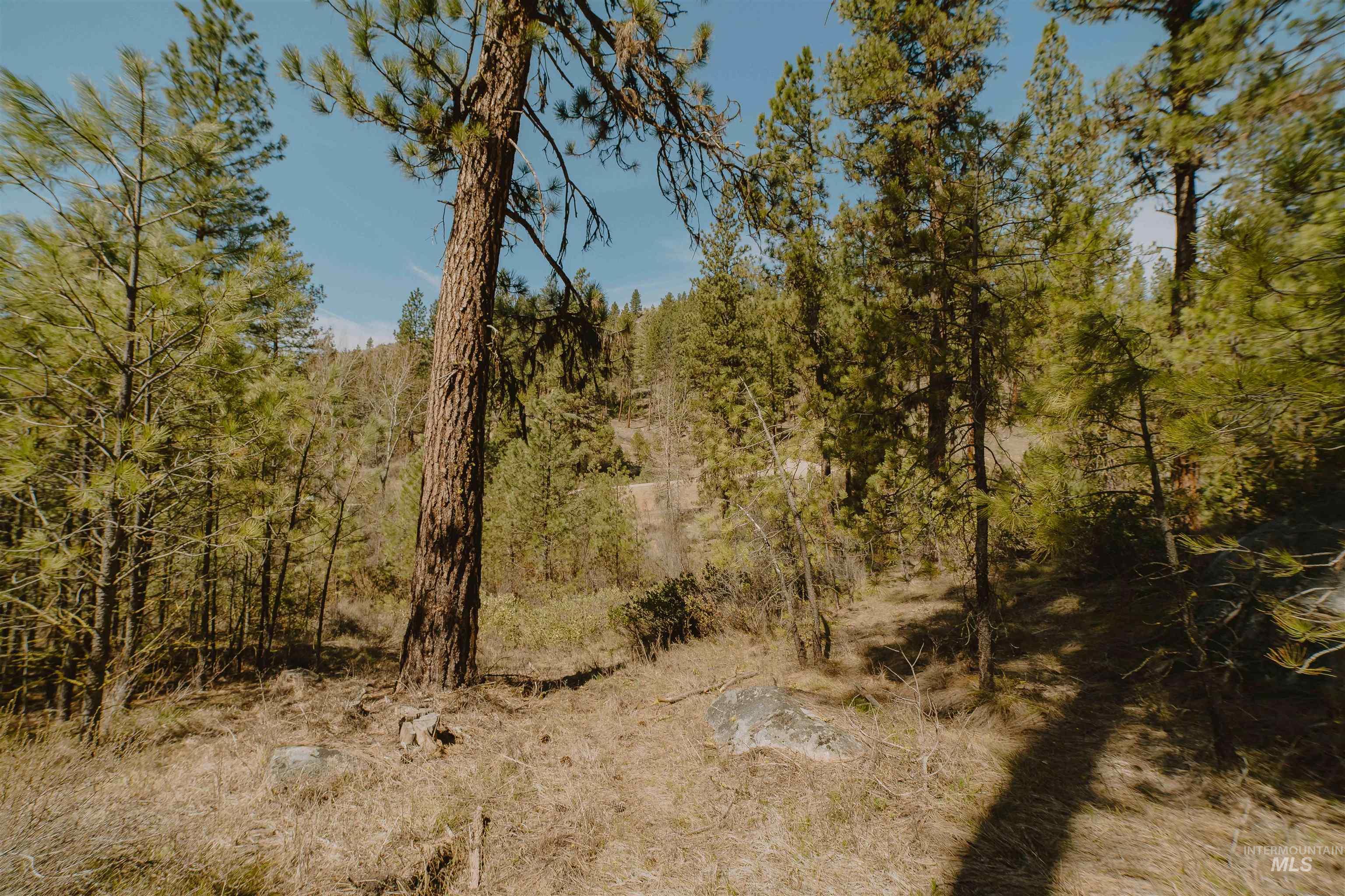 Lot 13 Property Photo 18