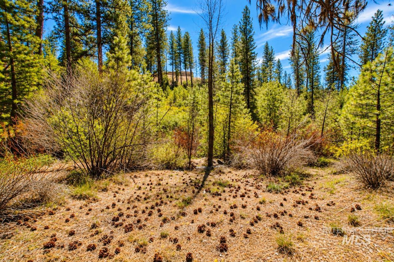Lot 13 Property Photo 18