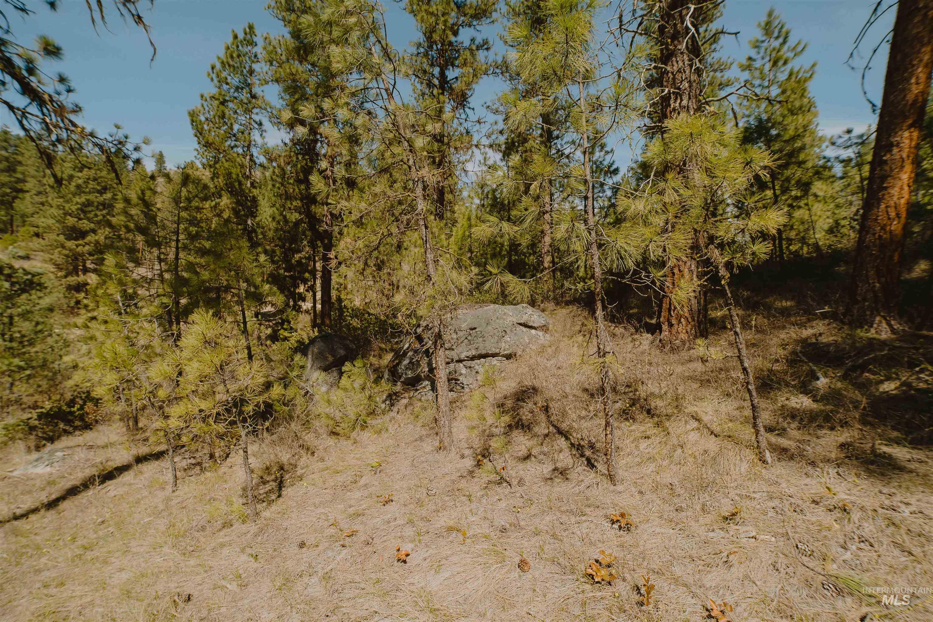 Lot 13 Property Photo 19