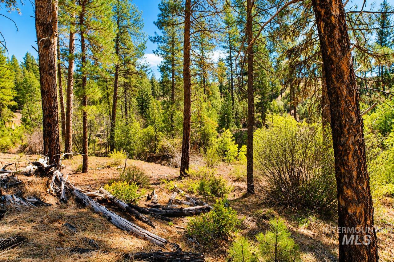 Lot 13 Property Photo 19