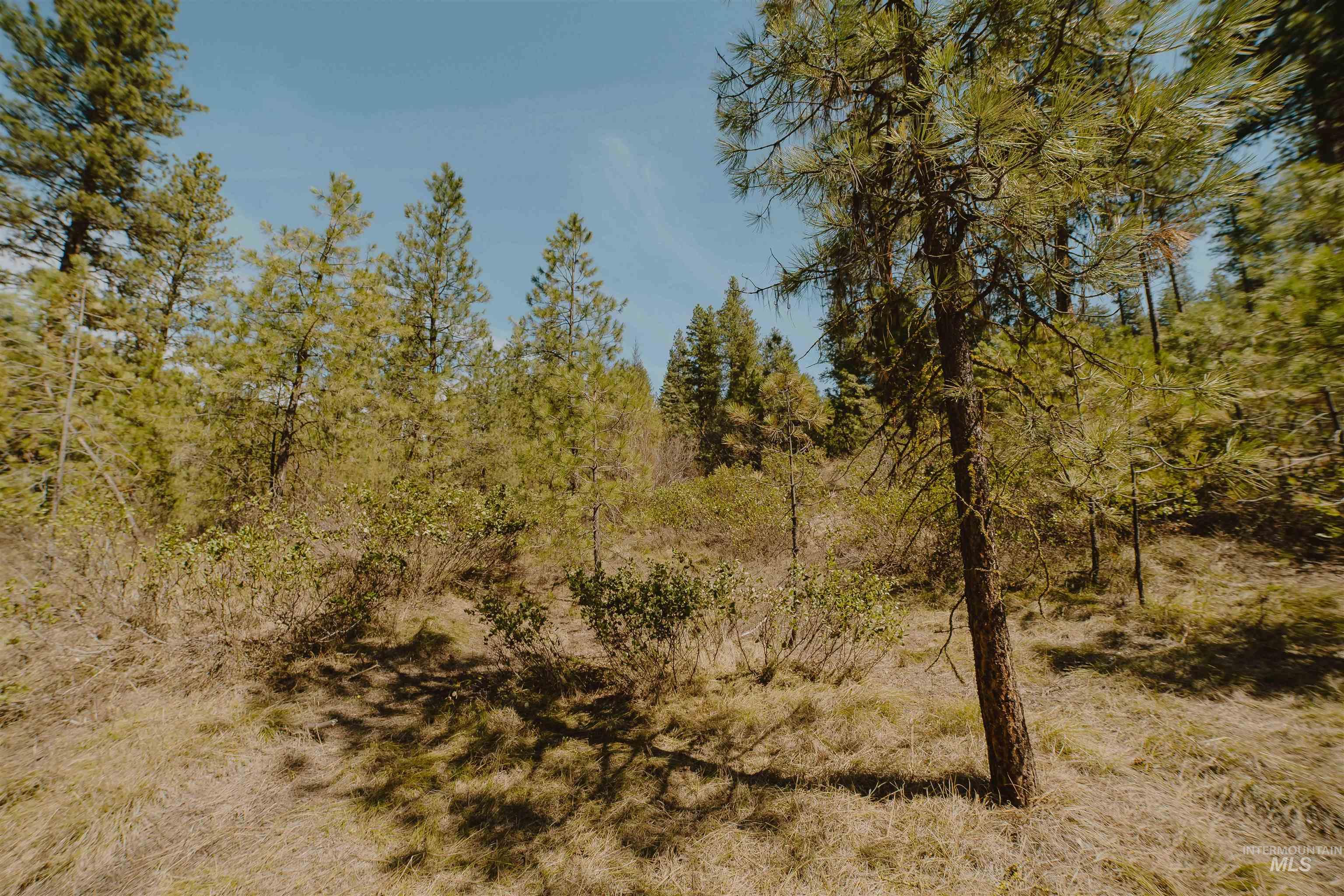 Lot 13 Property Photo 20