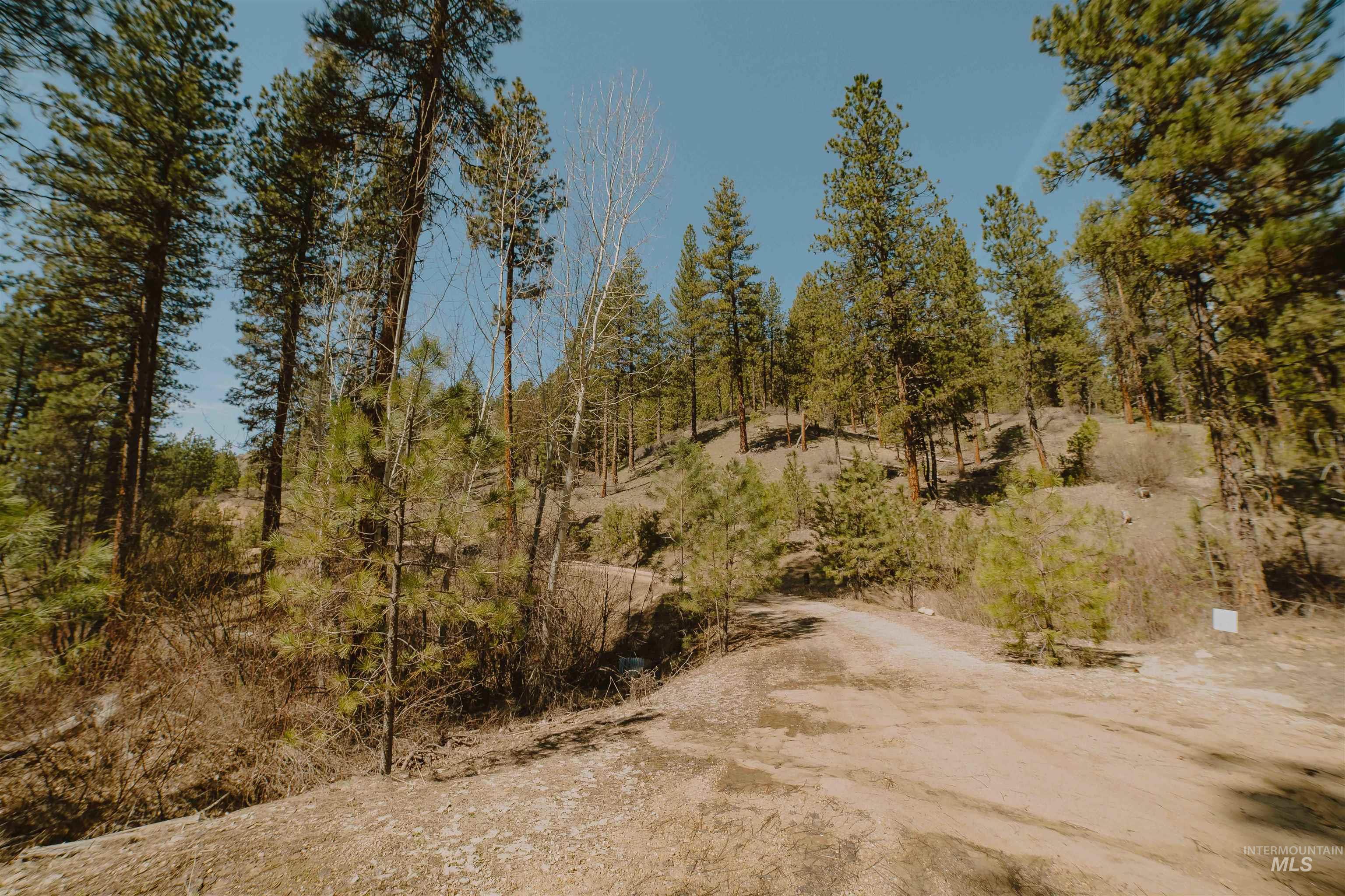 Lot 13 Property Photo 22