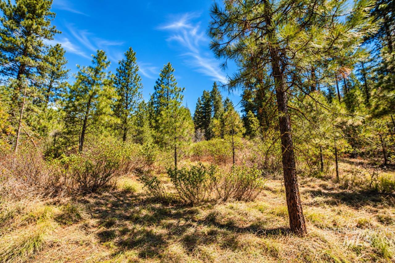 Lot 13 Property Photo 23