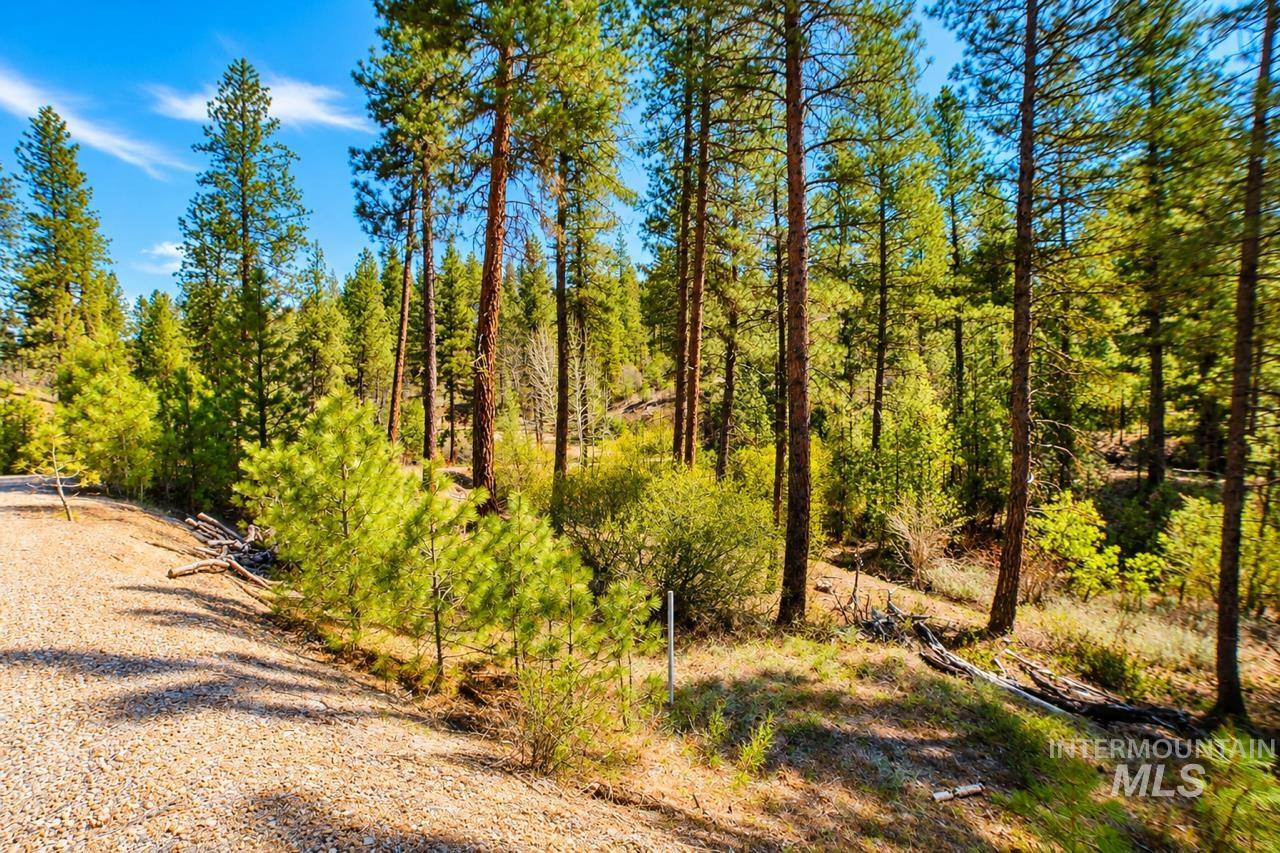 Lot 13 Property Photo 25