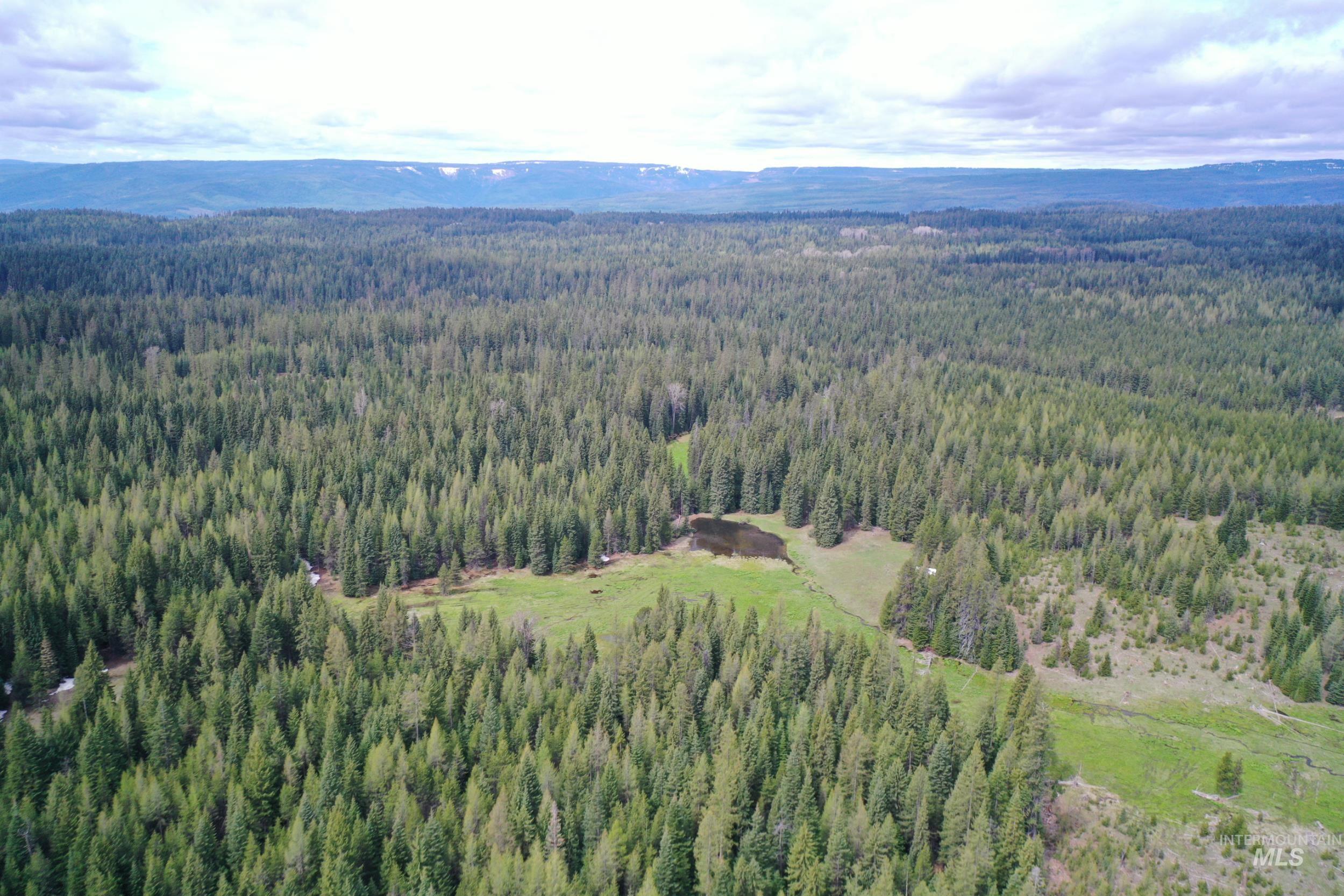 79250 Lookout Mountain Rd Property Photo 50