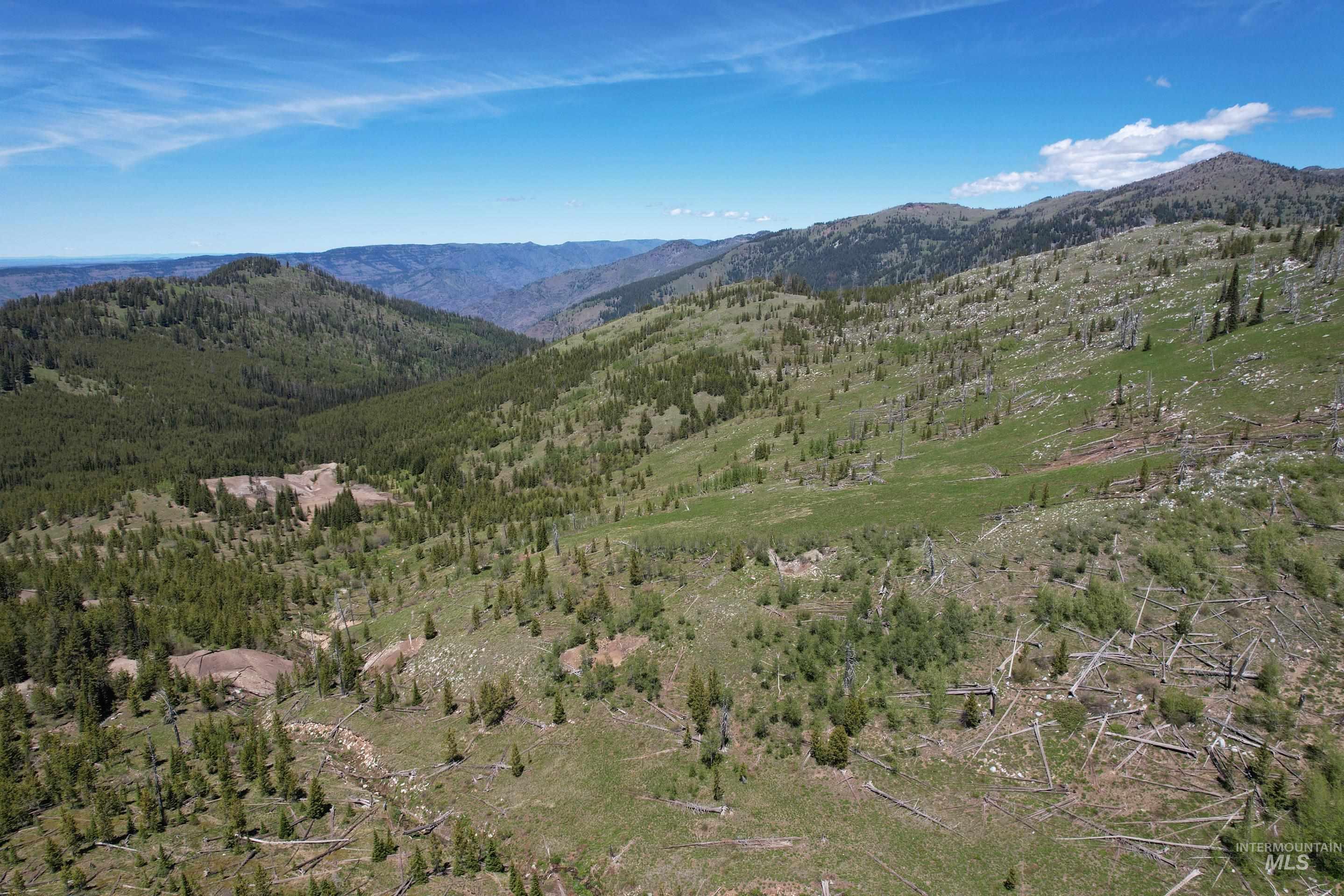 0 Nat'l Forest Develop Road 493 Property Photo 1