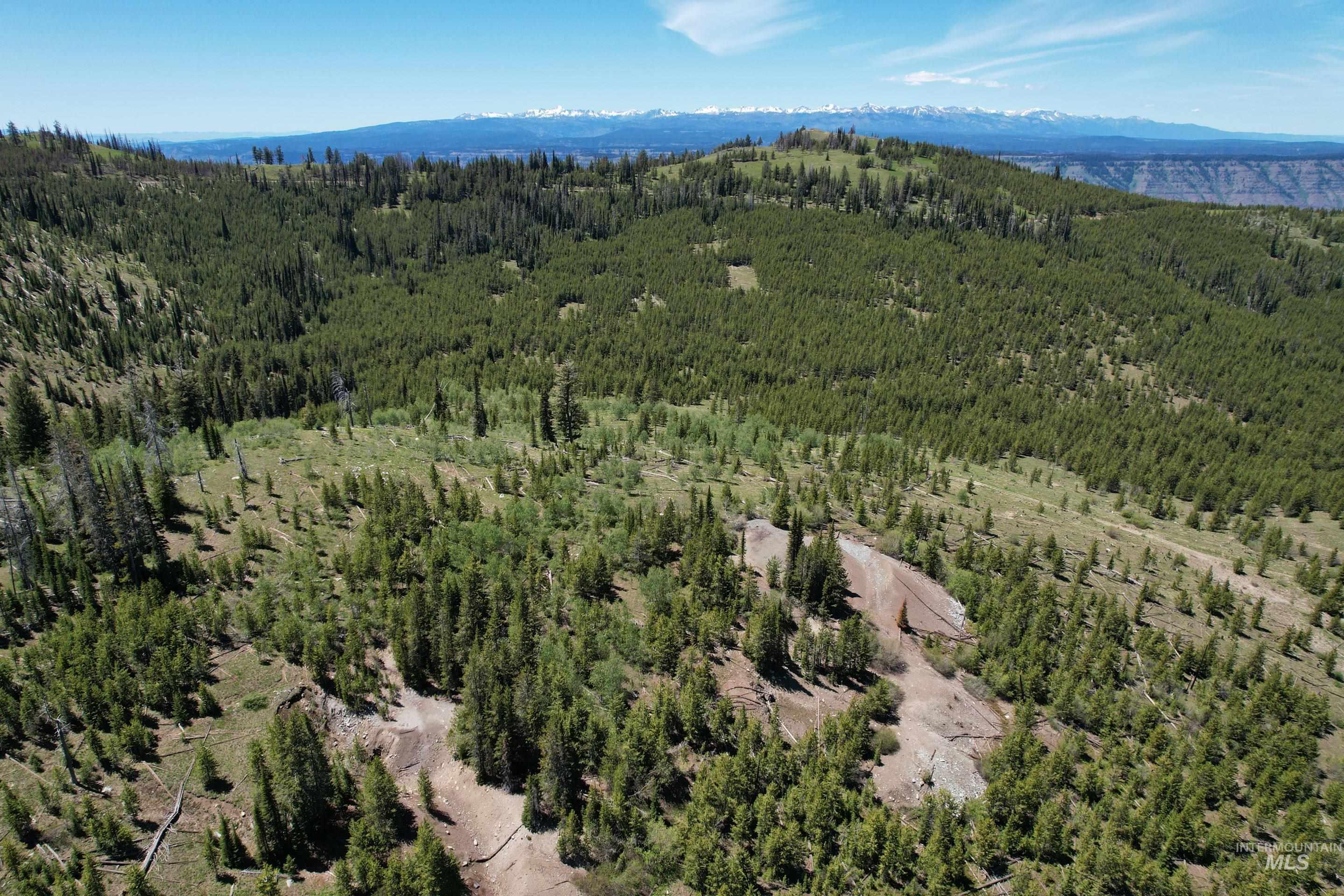 0 Nat'l Forest Develop Road 493 Property Photo 2