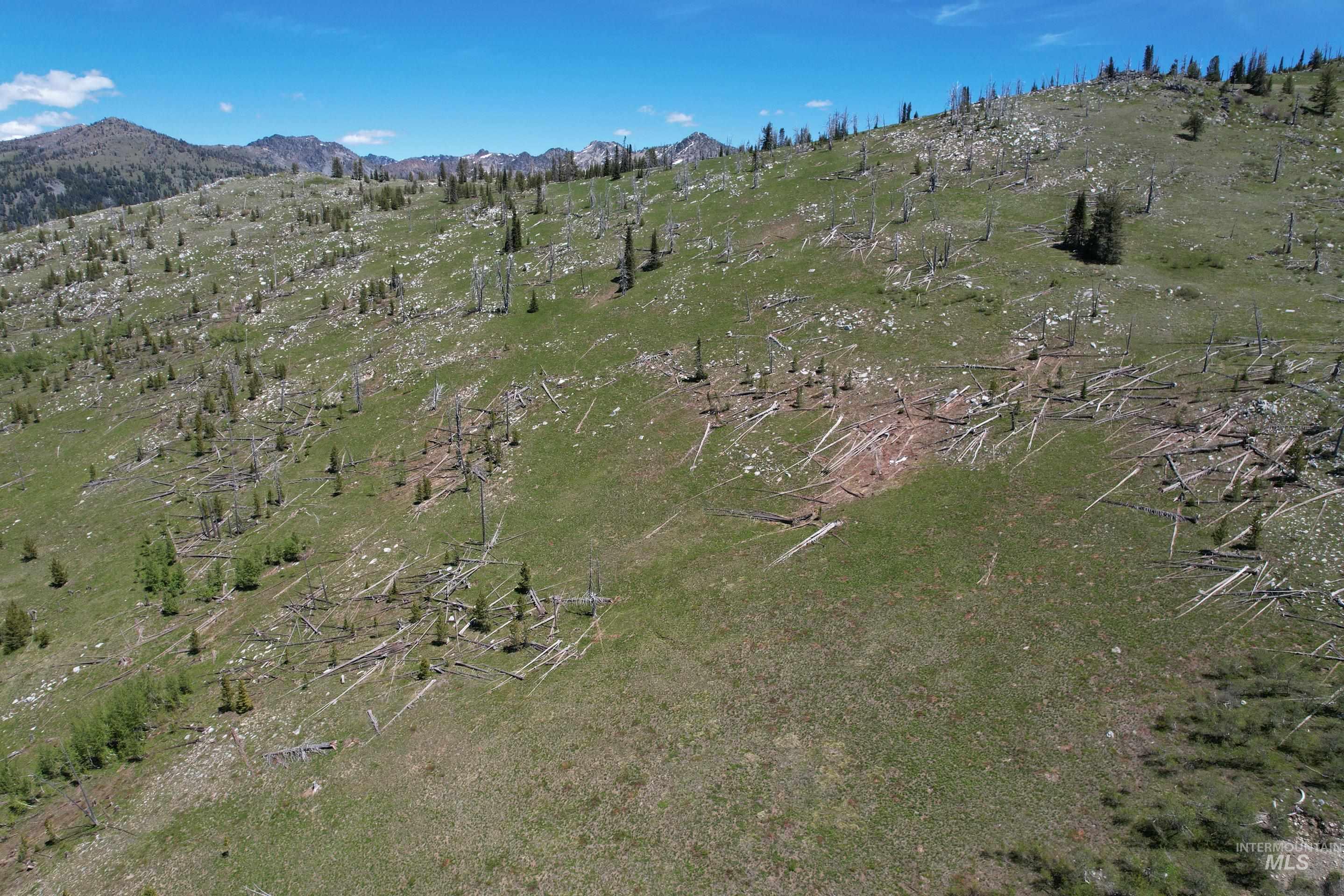 0 Nat'l Forest Develop Road 493 Property Photo 3