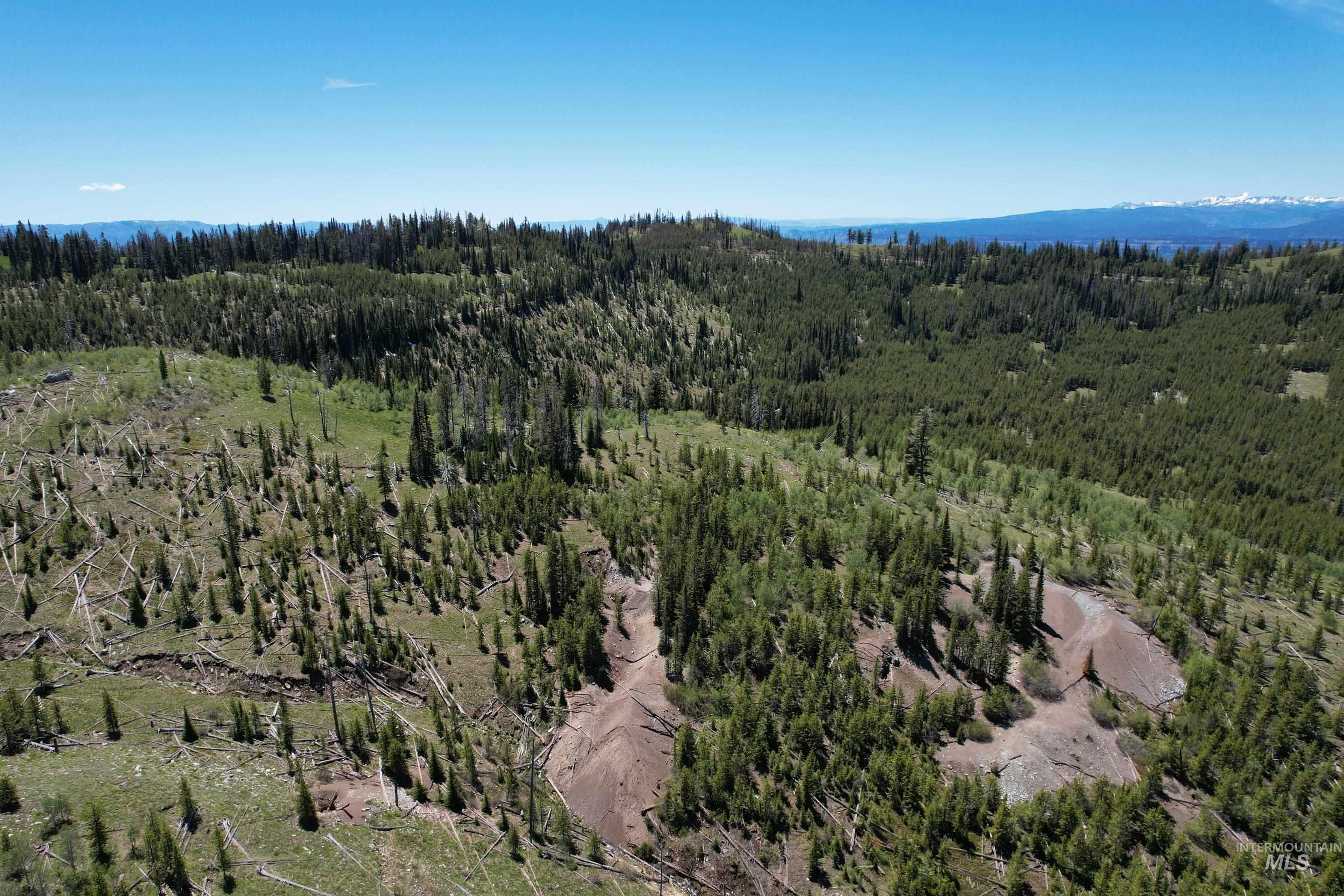 0 Nat'l Forest Develop Road 493 Property Photo 4