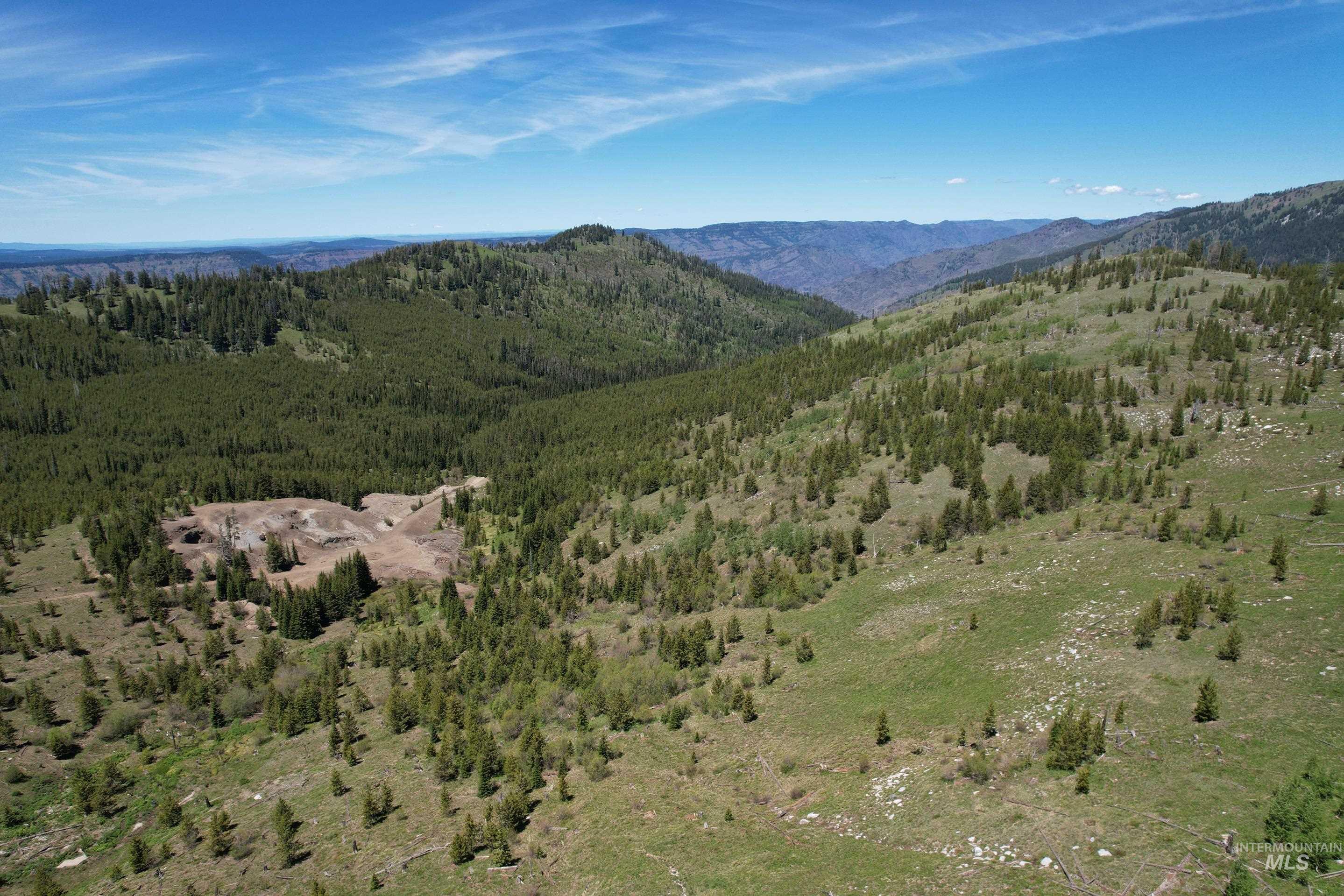 0 Nat'l Forest Develop Road 493 Property Photo 5