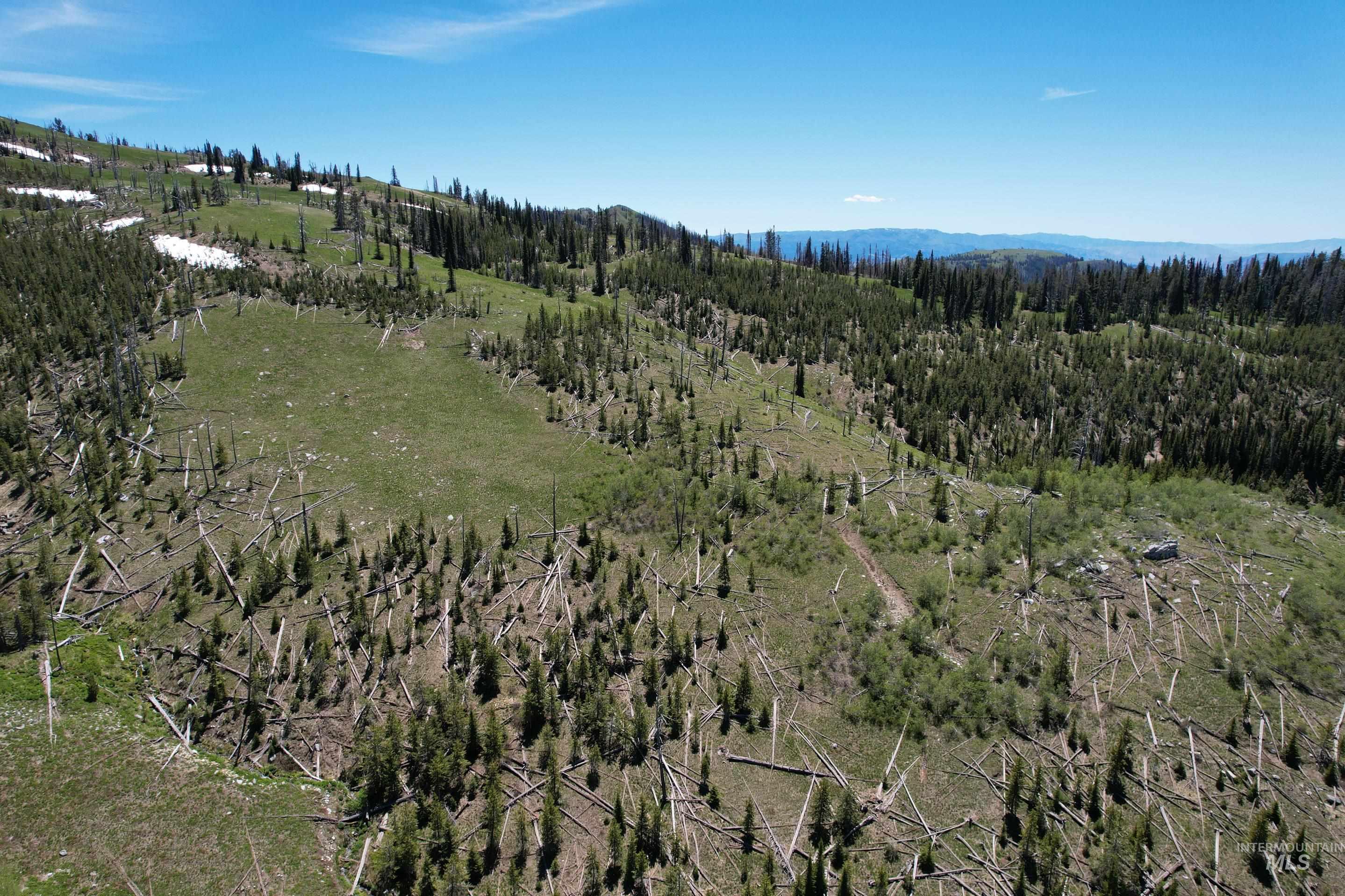 0 Nat'l Forest Develop Road 493 Property Photo 6