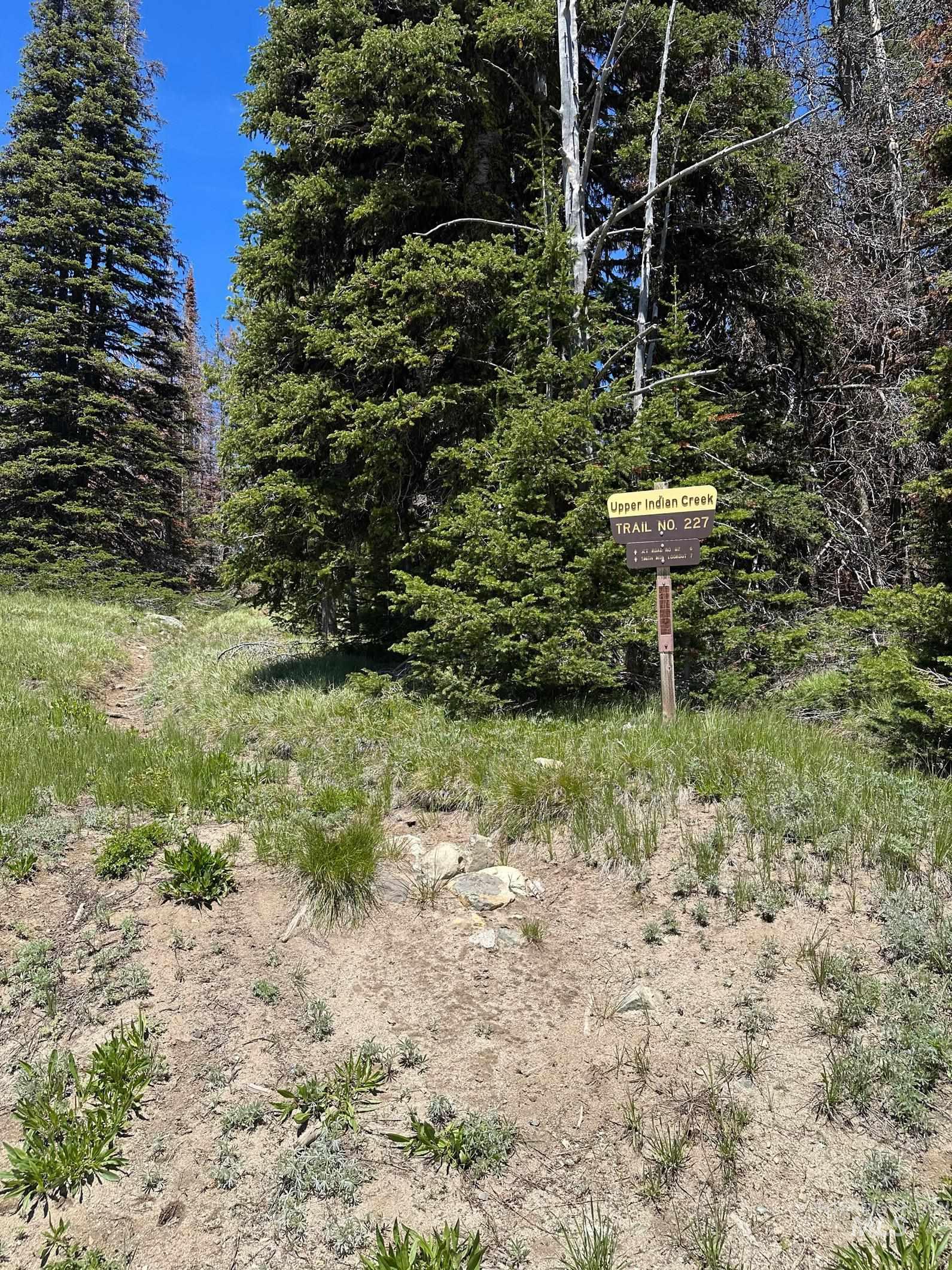 0 Upper Indian Creek Trail Property Photo 1