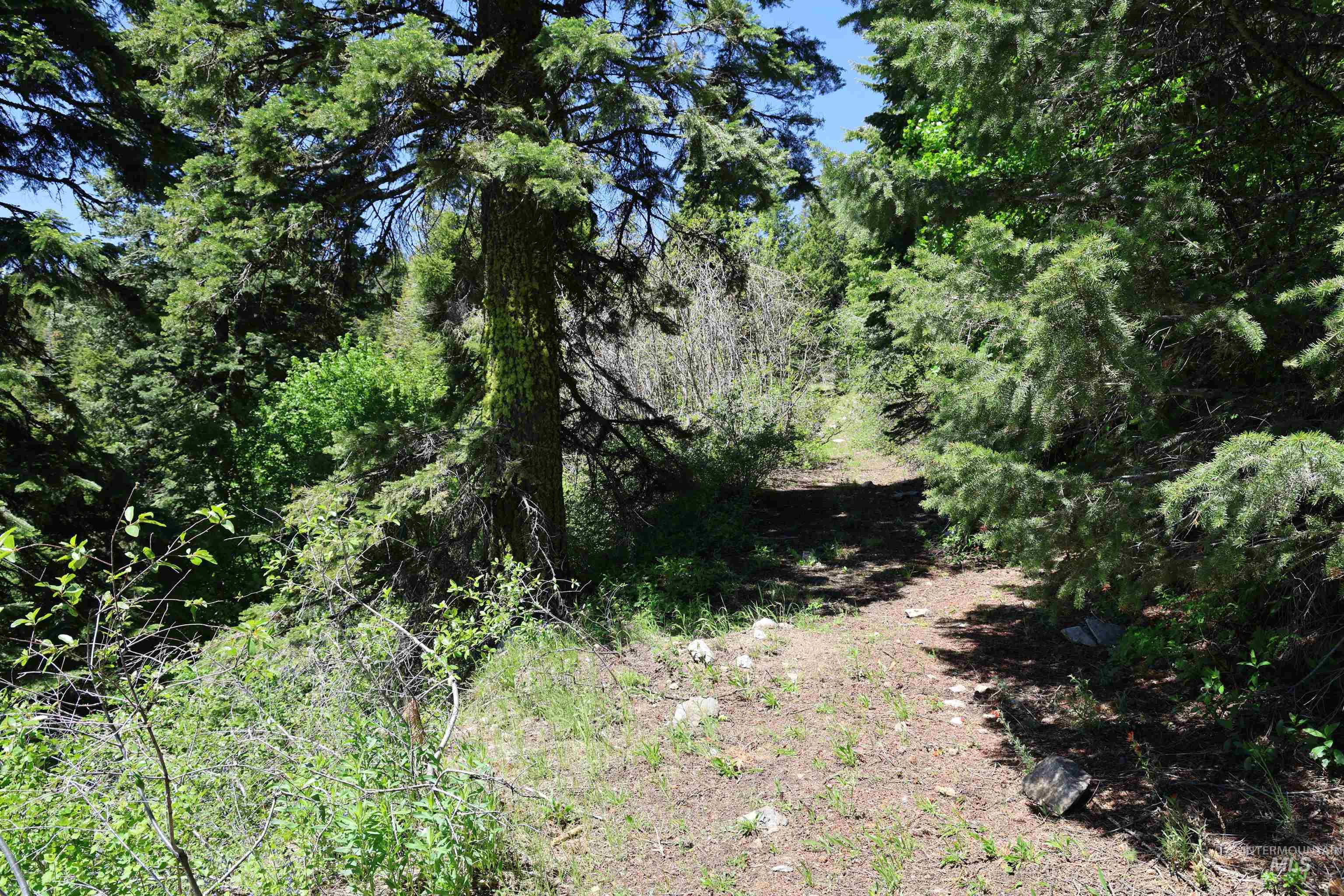 0 Upper Indian Creek Trail Property Photo 2