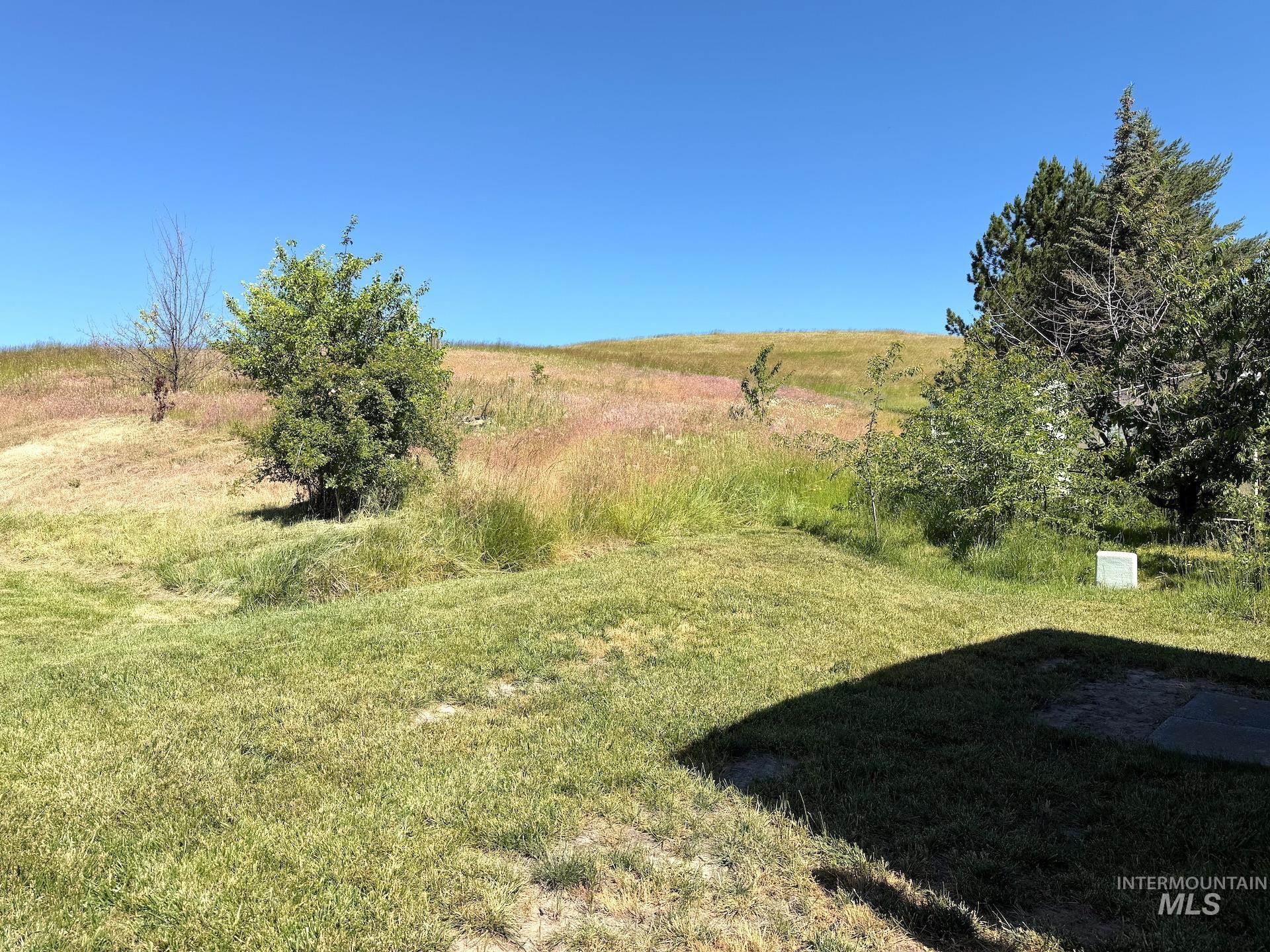 411 N Almon St. Property Photo 18