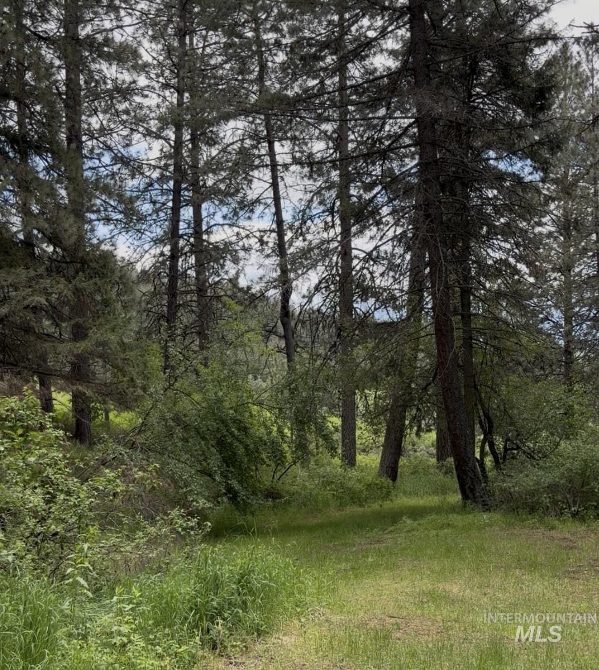 1006 Ken Trl Property Photo 15