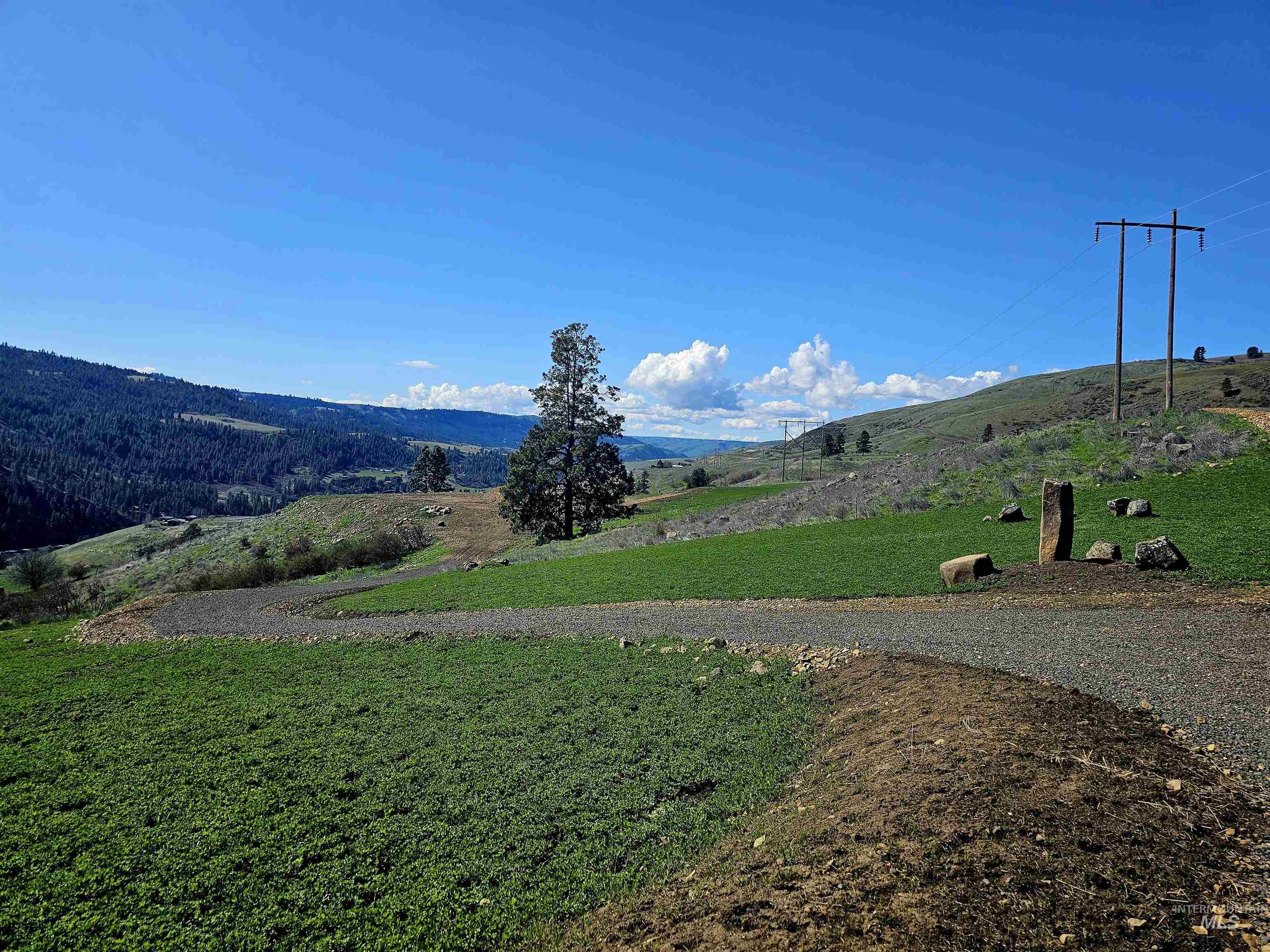 Tbd Lot 5 Quiet Hills Ln Property Photo 7