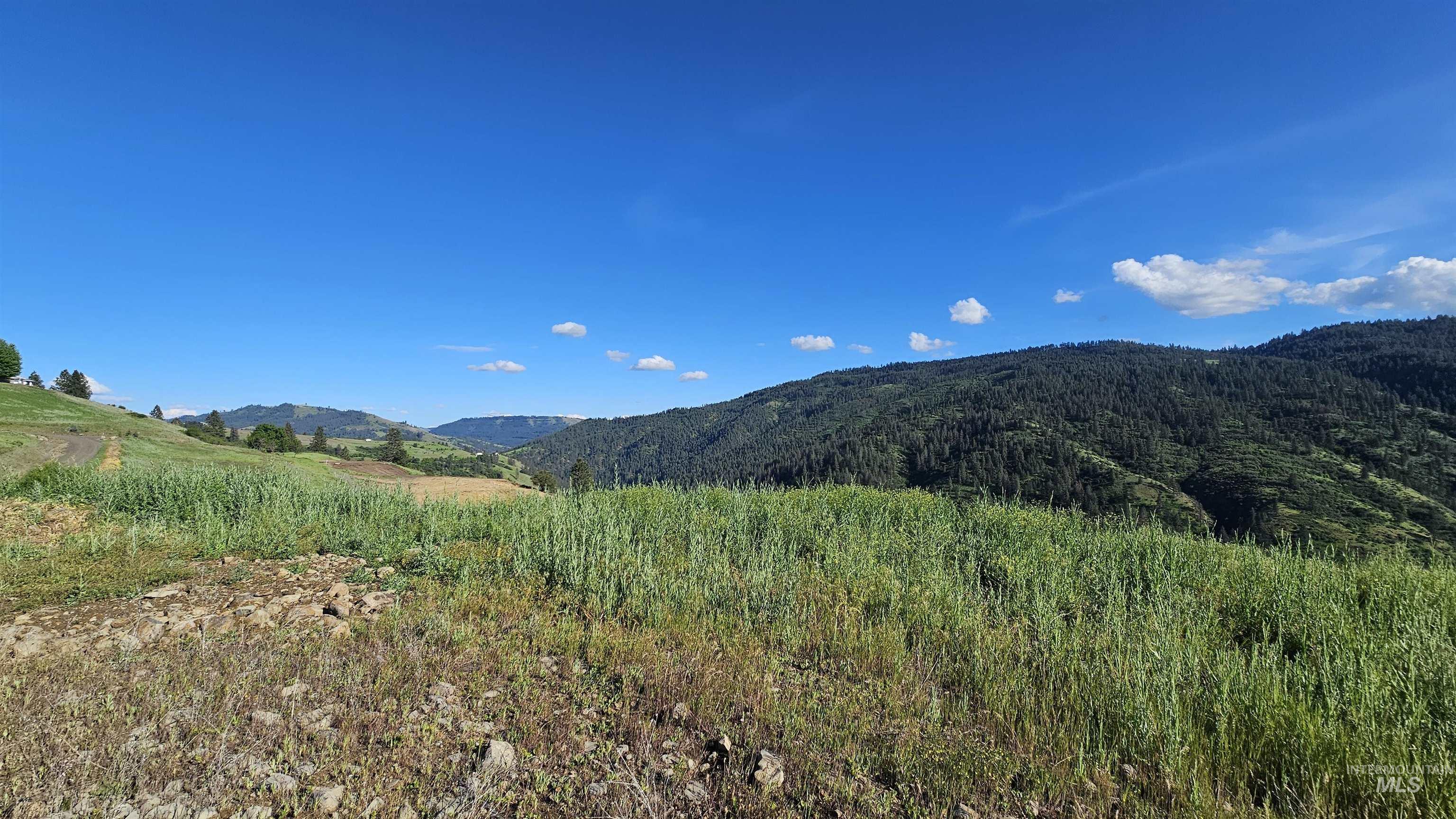 Tbd Lot 5 Quiet Hills Ln Property Photo 17