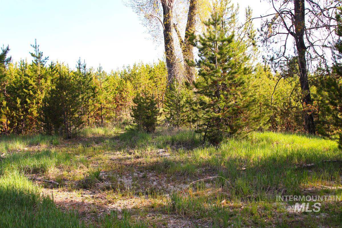 7 Placer Place Property Photo 13