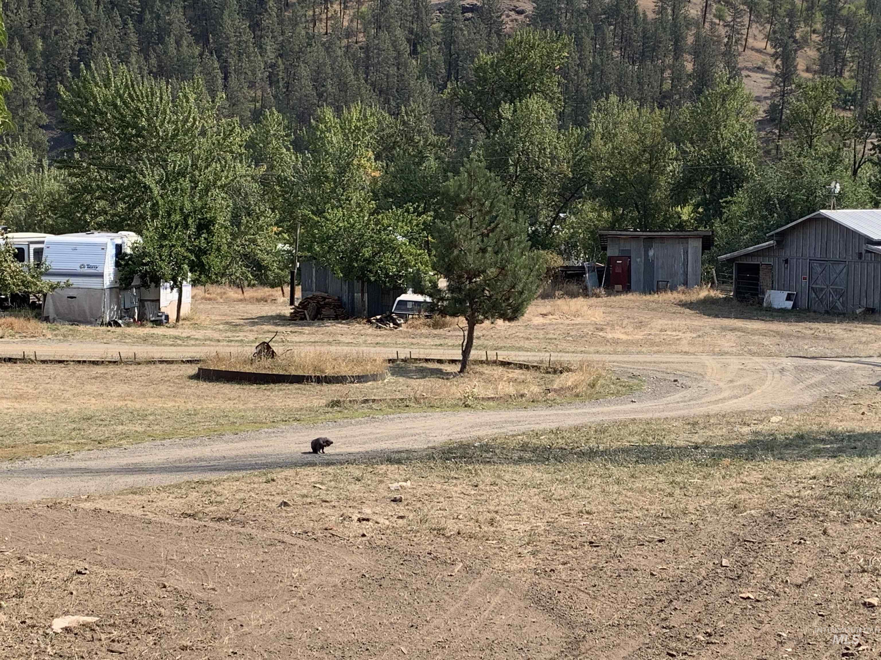120 Three Bear Lane Property Photo 3