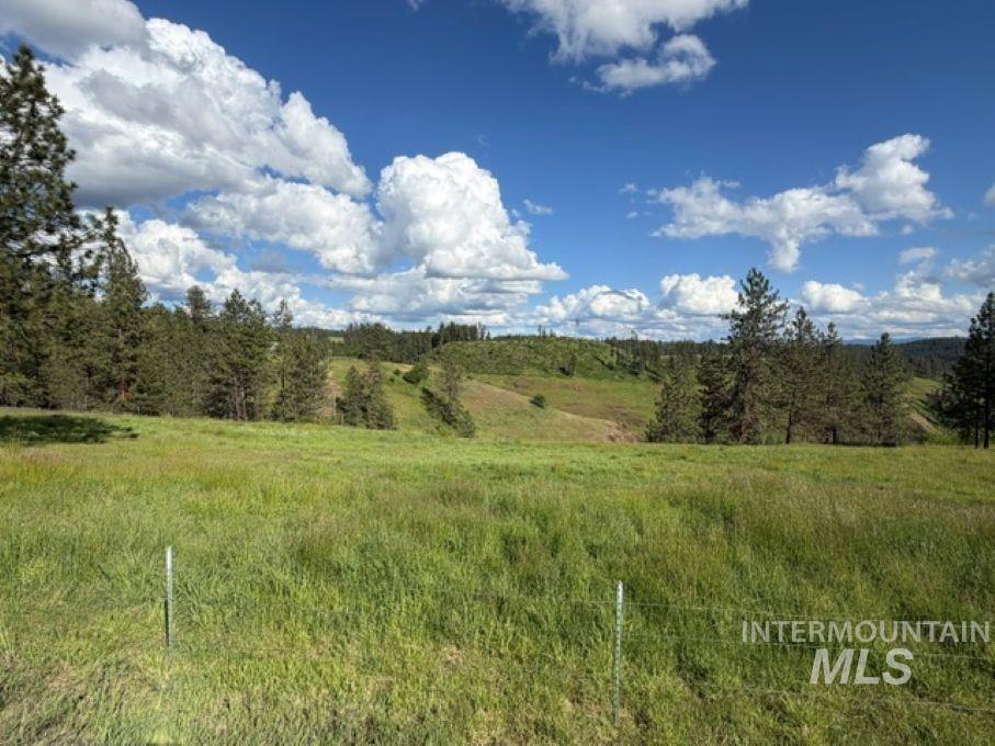 119 Beaver Hill Road Property Photo 37