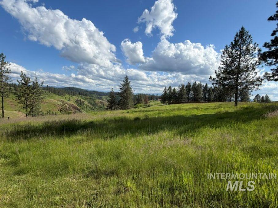 119 Beaver Hill Road Property Photo 48