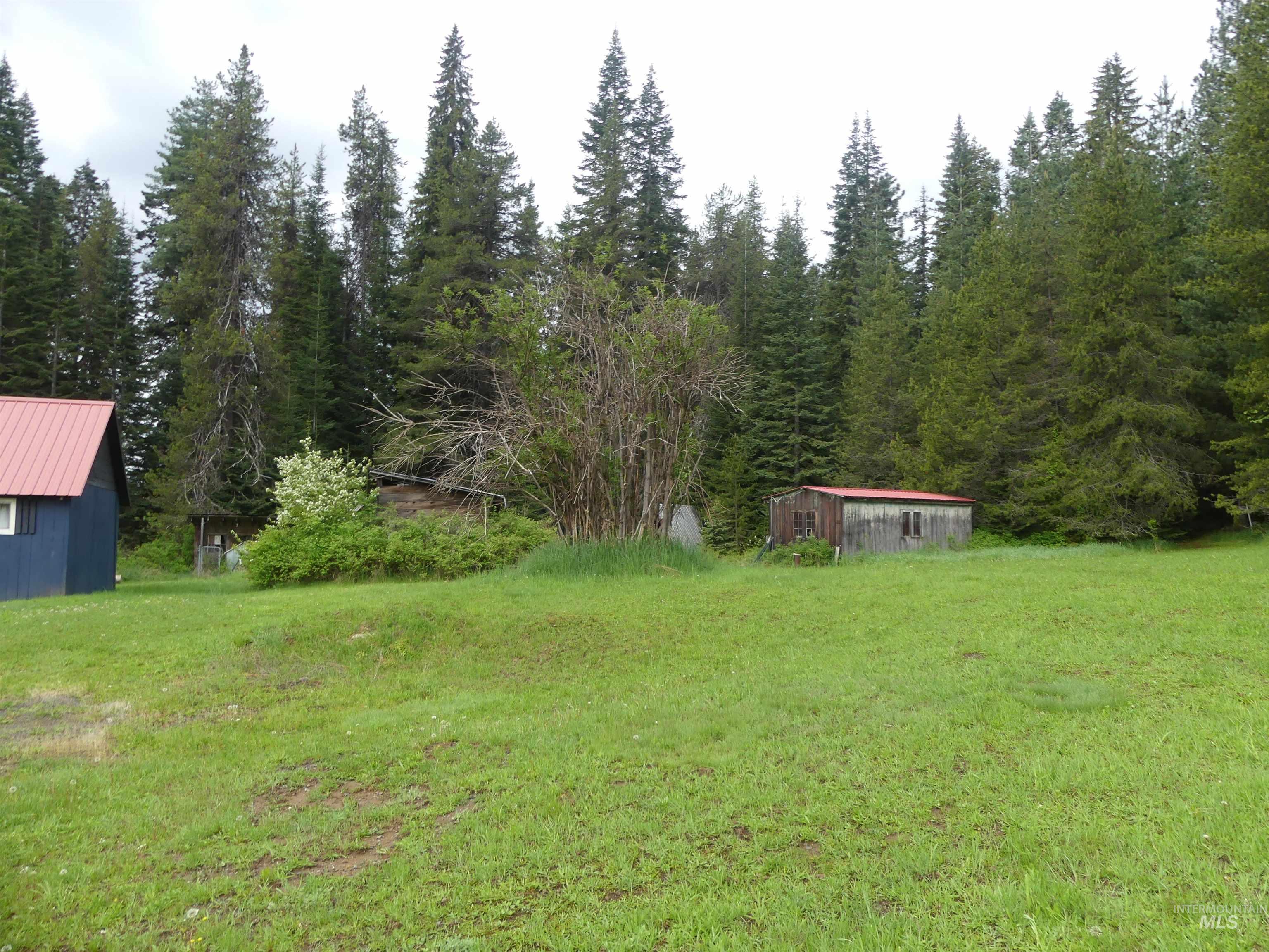 36975 Highway 11 Property Photo 6